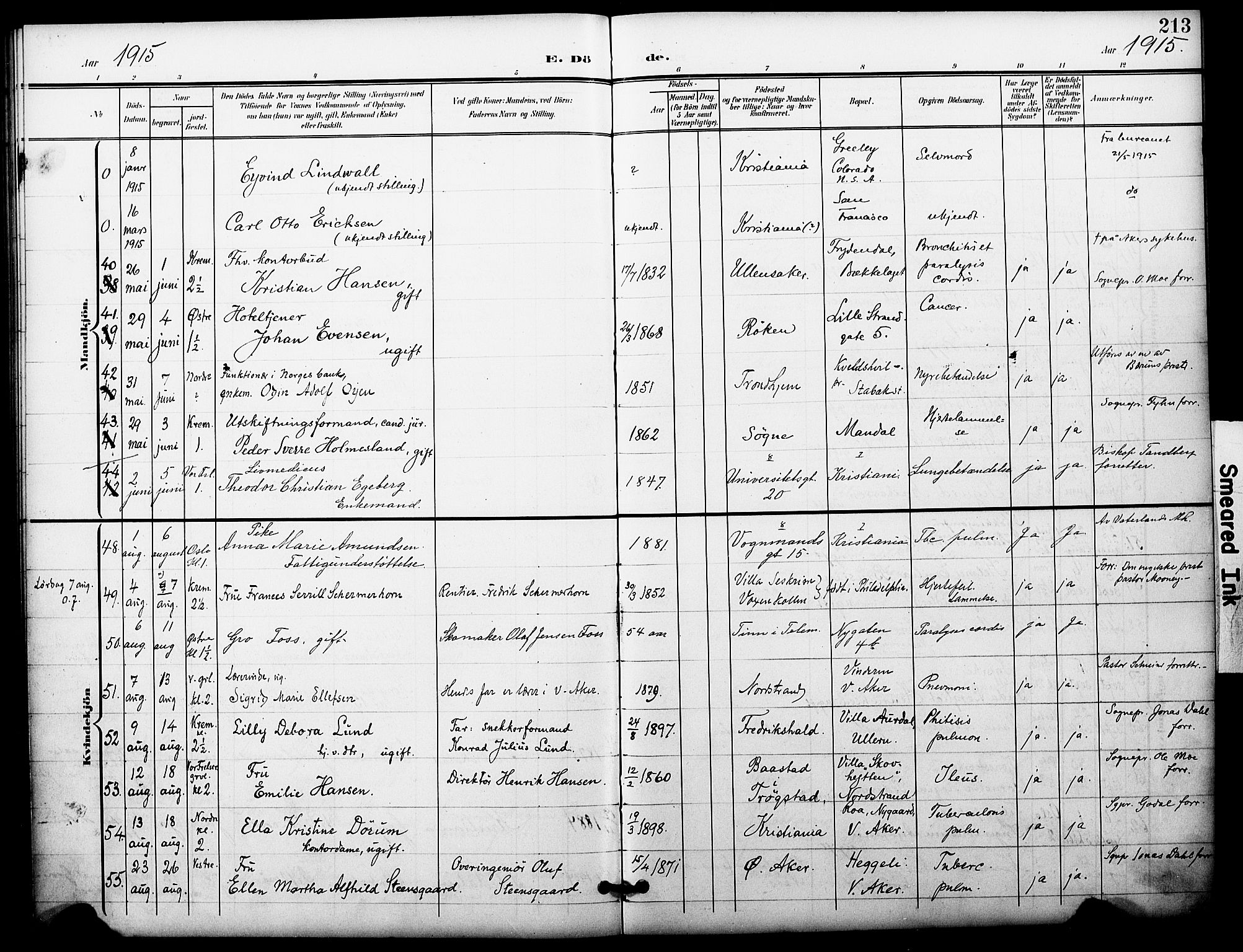 Oslo domkirke Kirkebøker, SAO/A-10752/F/Fa/L0036: Parish register (official) no. 36, 1901-1919, p. 213