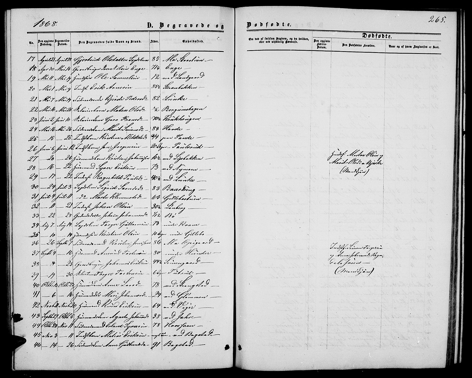 Øyer prestekontor, SAH/PREST-084/H/Ha/Hab/L0001: Parish register (copy) no. 1, 1863-1877, p. 265