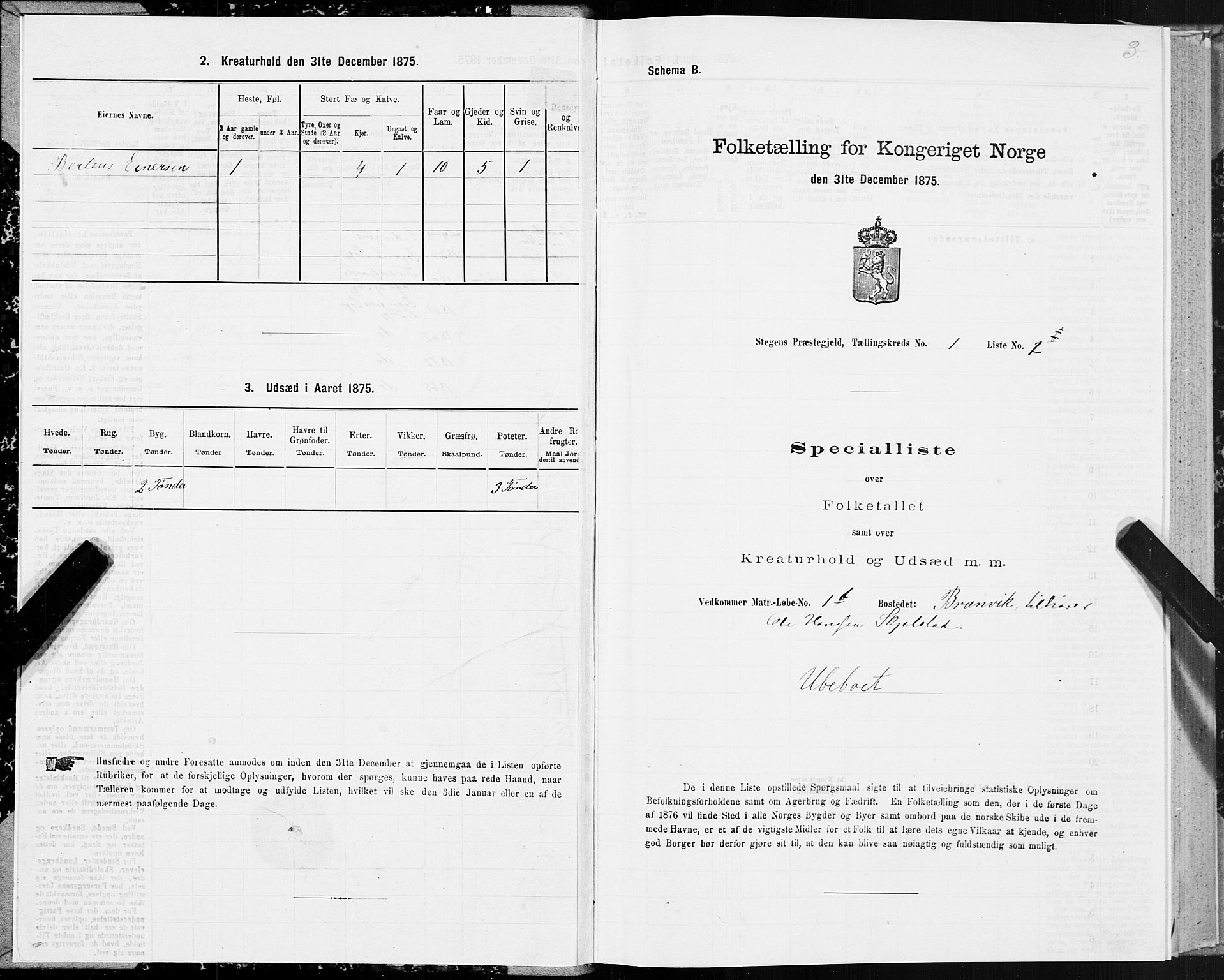 SAT, 1875 census for 1848P Steigen, 1875, p. 1003