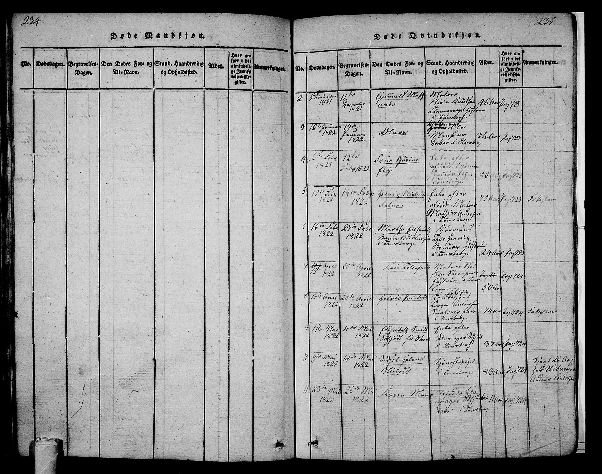 Tønsberg kirkebøker, AV/SAKO-A-330/G/Ga/L0001: Parish register (copy) no. 1, 1813-1826, p. 234-235