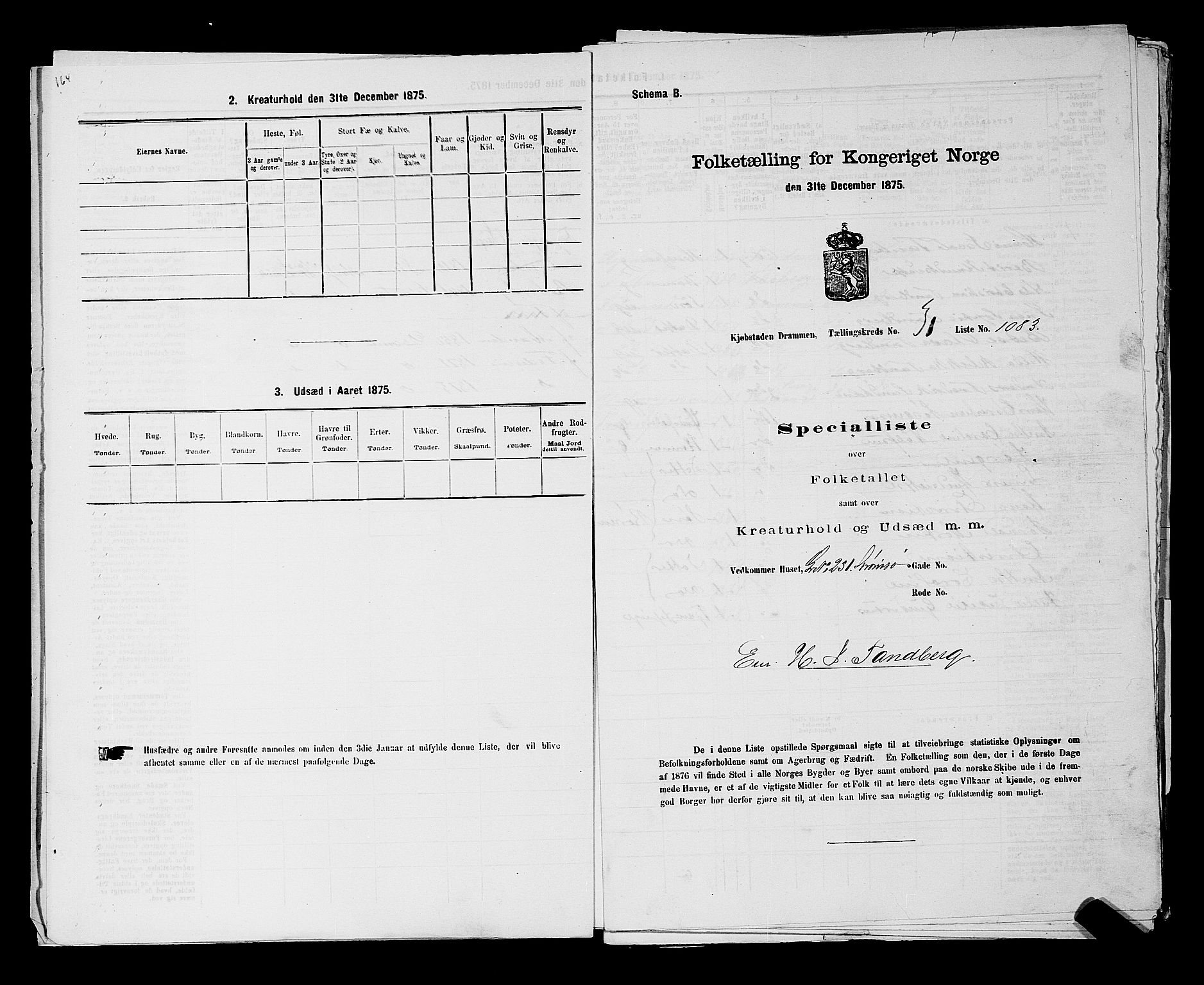 SAKO, 1875 census for 0602 Drammen, 1875, p. 2869