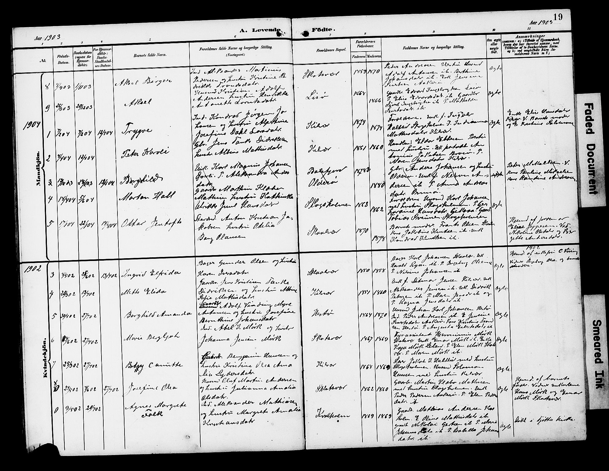 Ministerialprotokoller, klokkerbøker og fødselsregistre - Nordland, SAT/A-1459/818/L0273: Parish register (copy) no. 818C01, 1893-1928, p. 19