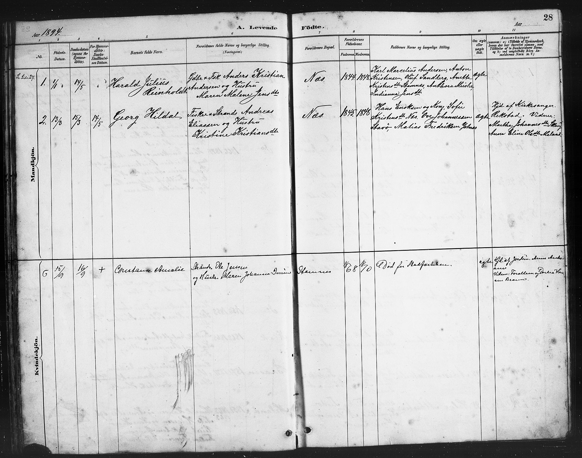 Ministerialprotokoller, klokkerbøker og fødselsregistre - Nordland, AV/SAT-A-1459/808/L0131: Parish register (copy) no. 808C02, 1879-1919, p. 28