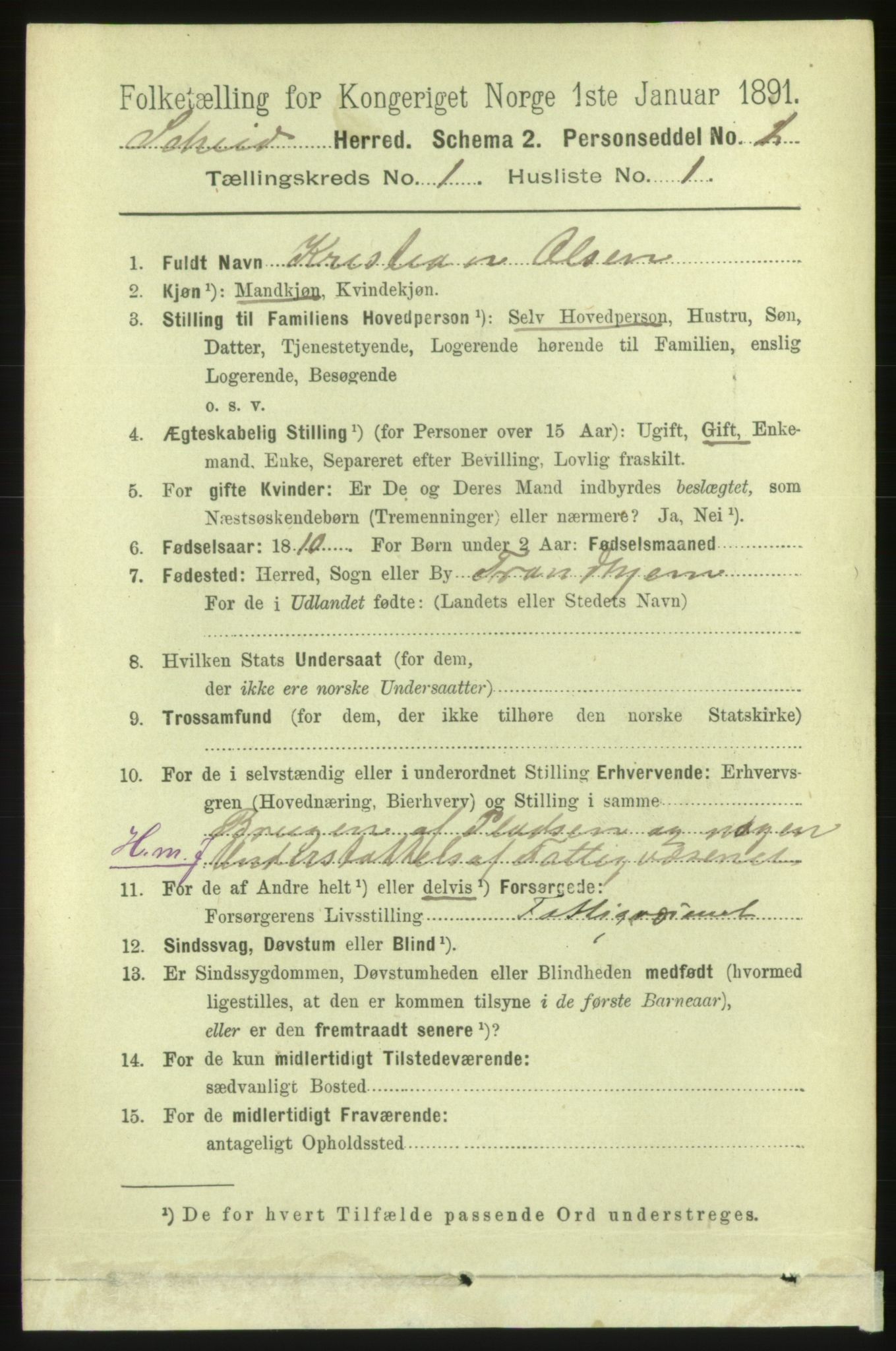 RA, 1891 census for 1732 Skei, 1891, p. 165