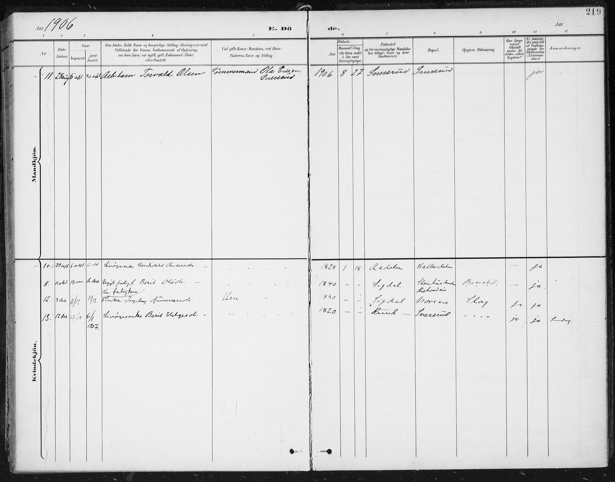 Krødsherad kirkebøker, AV/SAKO-A-19/F/Fa/L0007: Parish register (official) no. 7, 1900-1915, p. 219