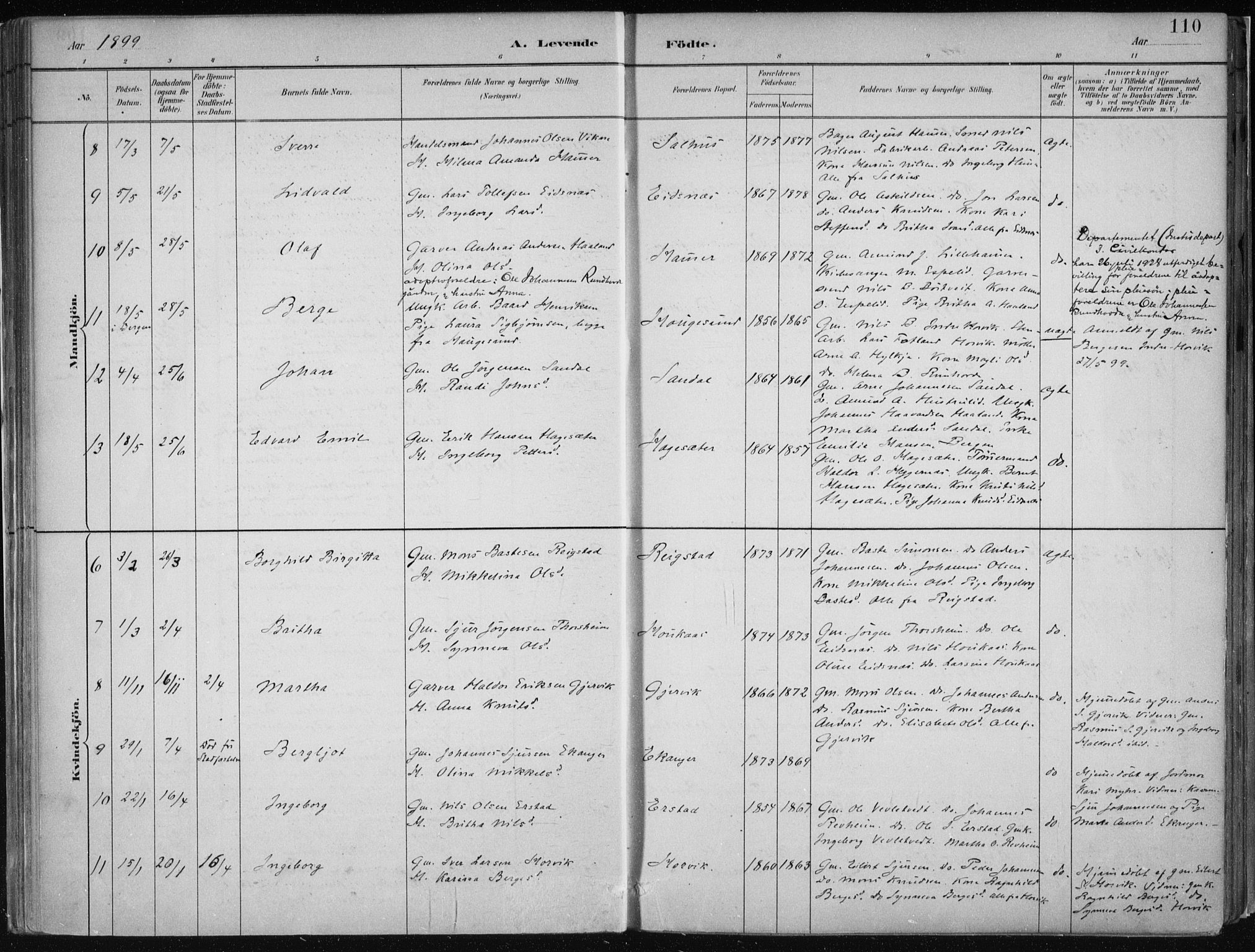 Hamre sokneprestembete, AV/SAB-A-75501/H/Ha/Haa/Haab/L0001: Parish register (official) no. B  1, 1882-1905, p. 110