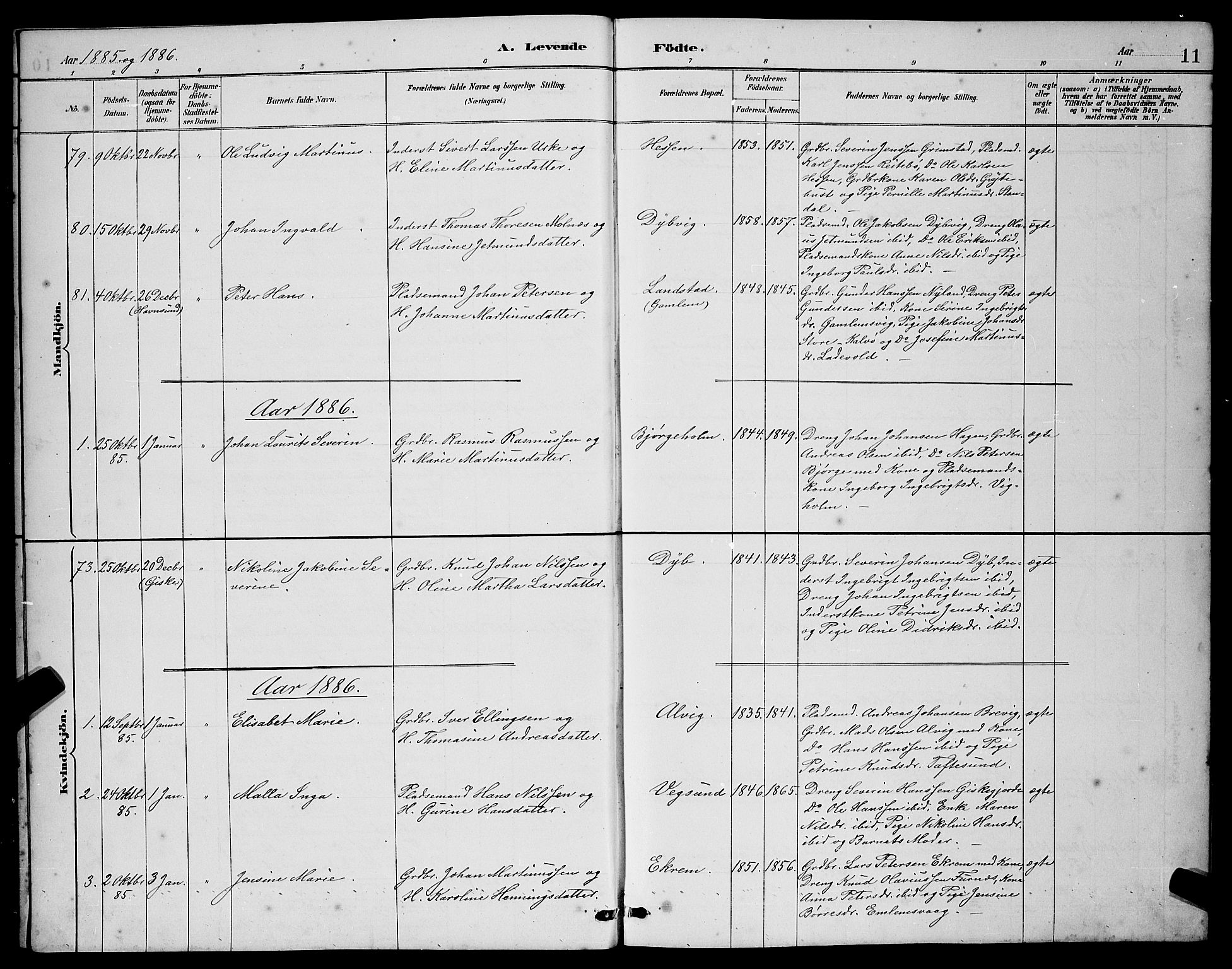 Ministerialprotokoller, klokkerbøker og fødselsregistre - Møre og Romsdal, AV/SAT-A-1454/528/L0431: Parish register (copy) no. 528C12, 1885-1898, p. 11