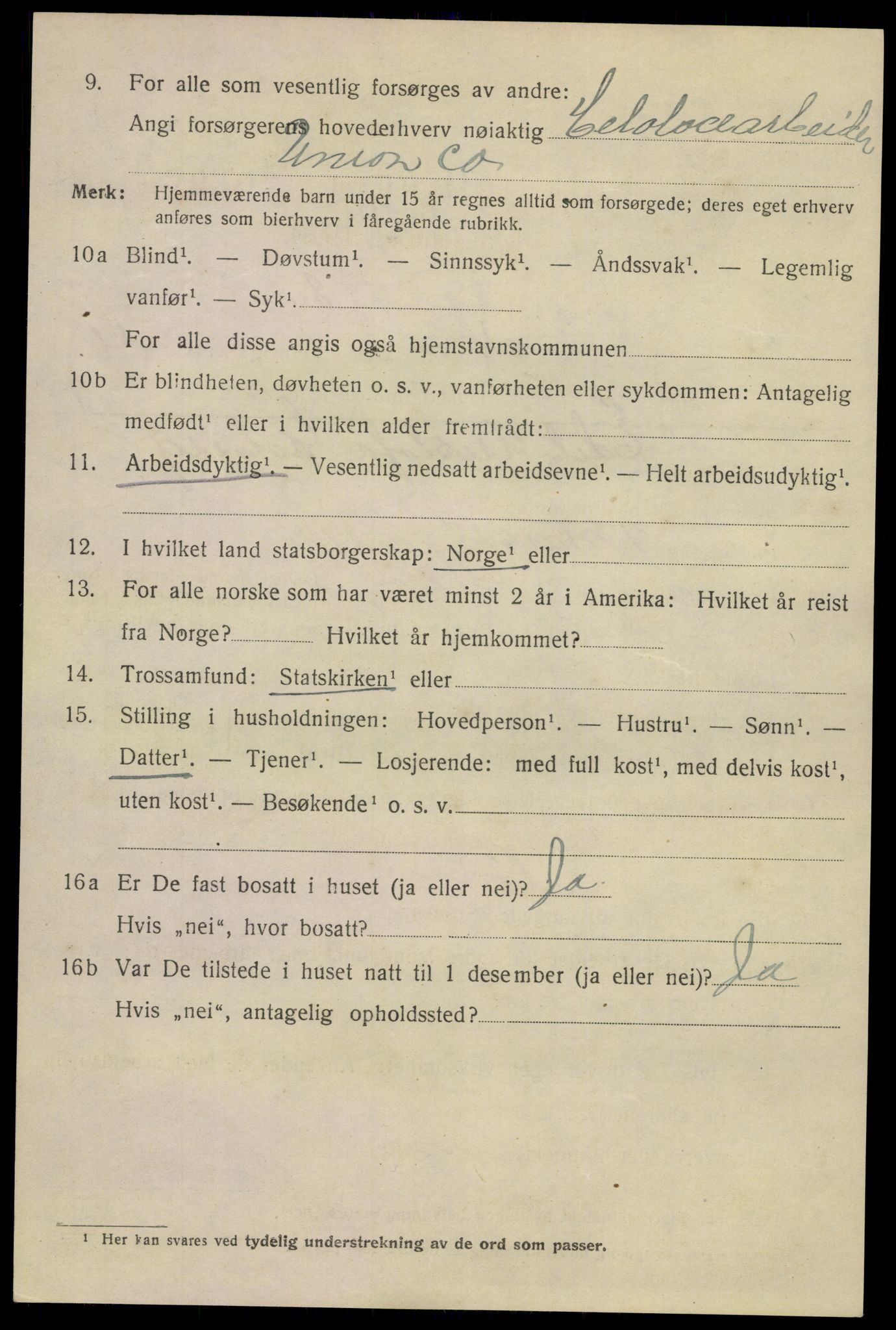 SAKO, 1920 census for Skien, 1920, p. 16941