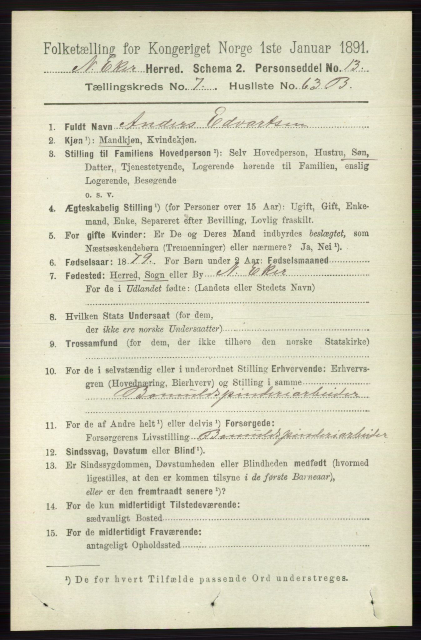RA, 1891 census for 0625 Nedre Eiker, 1891, p. 3874
