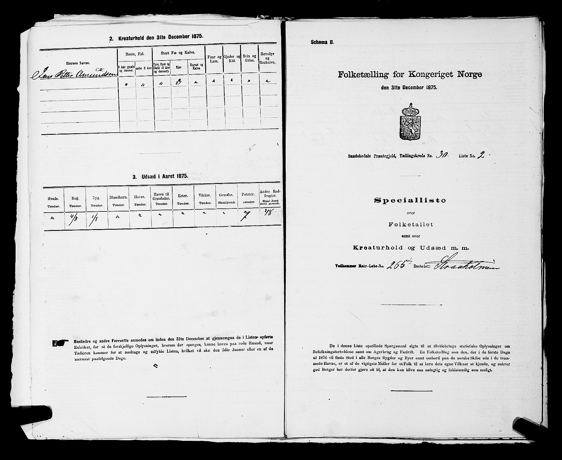 SAKO, 1875 census for 0816P Sannidal, 1875, p. 2263