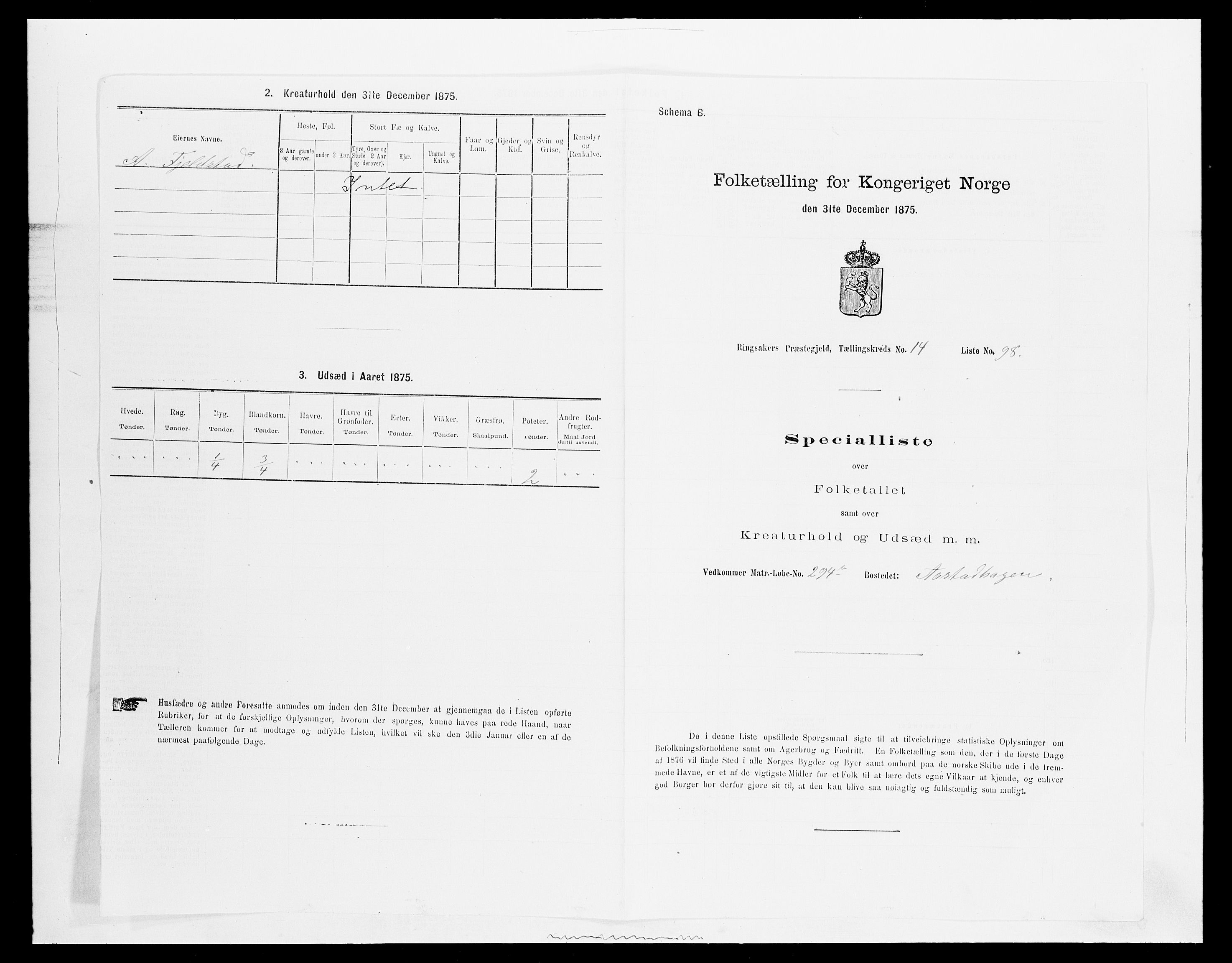 SAH, 1875 census for 0412P Ringsaker, 1875, p. 3018