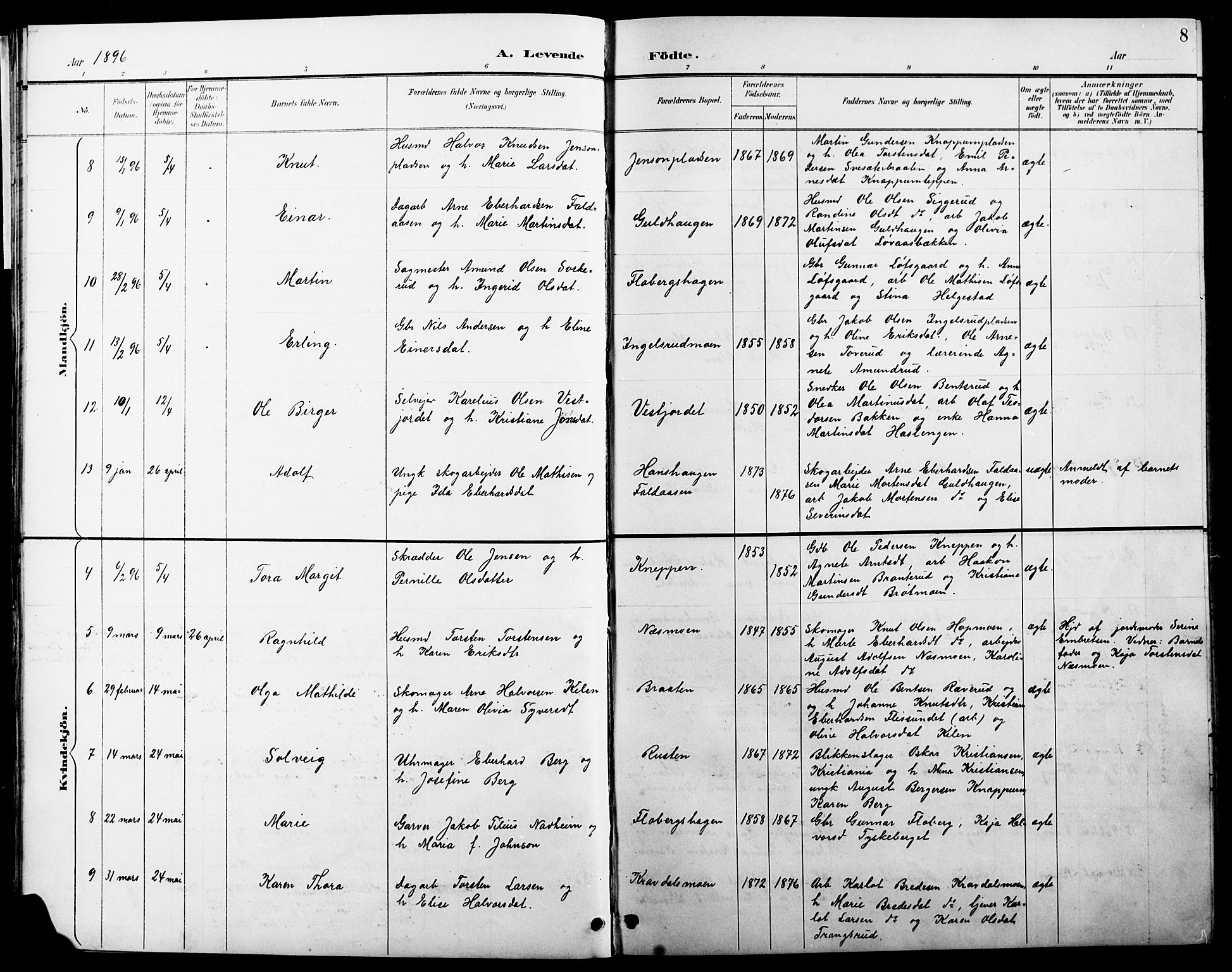 Åsnes prestekontor, AV/SAH-PREST-042/H/Ha/Hab/L0004: Parish register (copy) no. 4, 1895-1909, p. 8