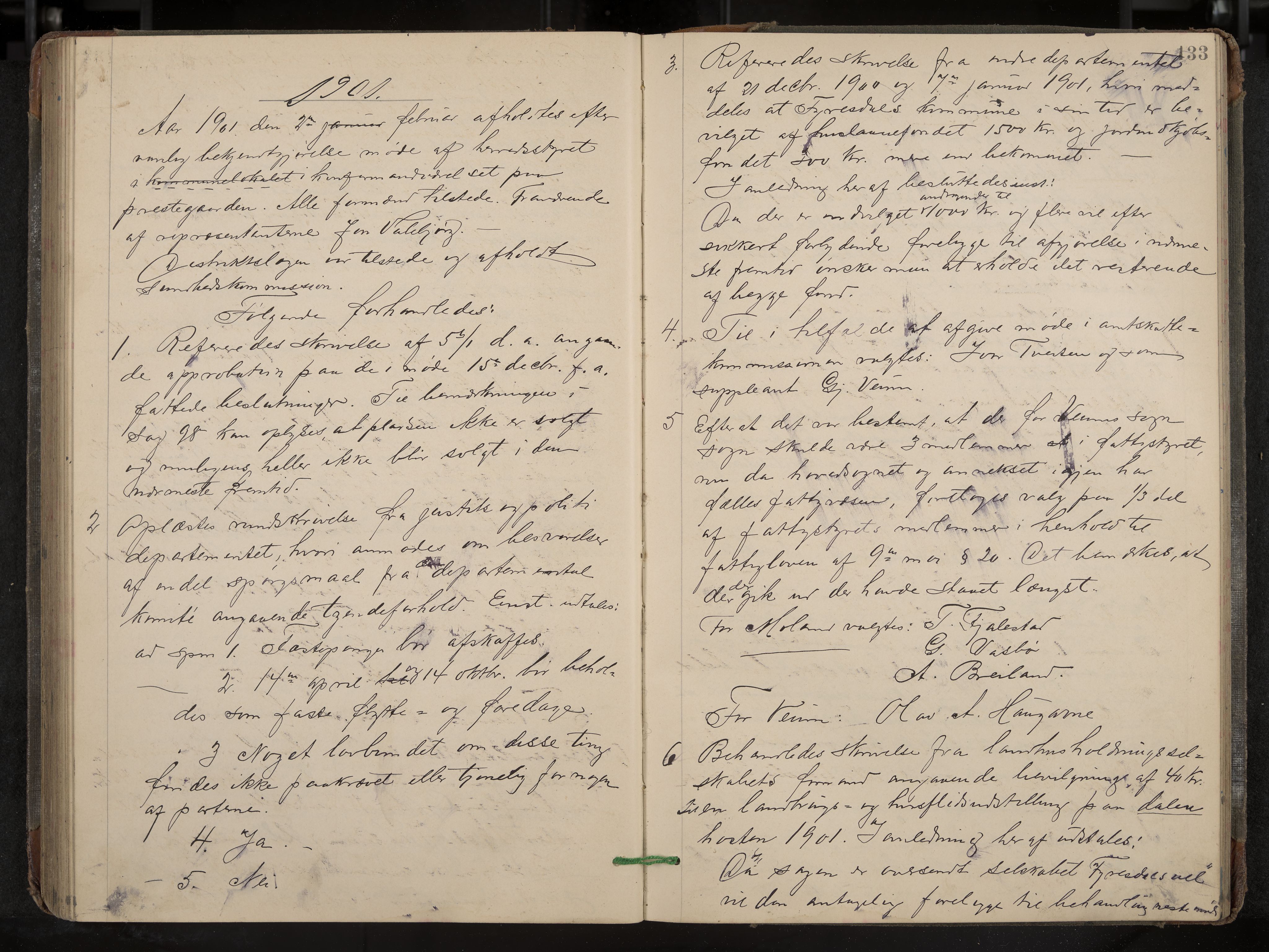 Fyresdal formannskap og sentraladministrasjon, IKAK/0831021-1/Aa/L0003: Møtebok, 1894-1903, p. 133