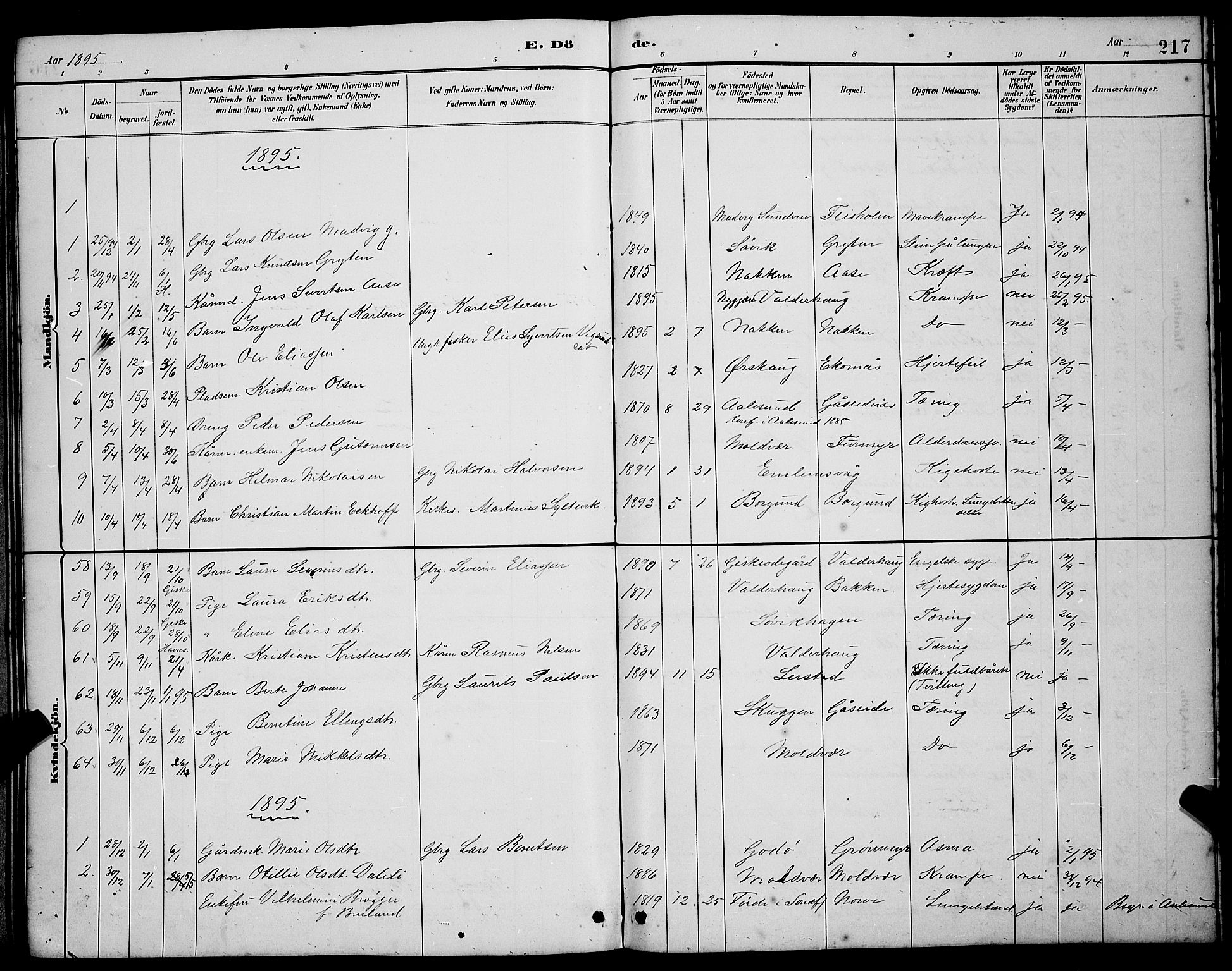 Ministerialprotokoller, klokkerbøker og fødselsregistre - Møre og Romsdal, SAT/A-1454/528/L0430: Parish register (copy) no. 528C11, 1884-1899, p. 217