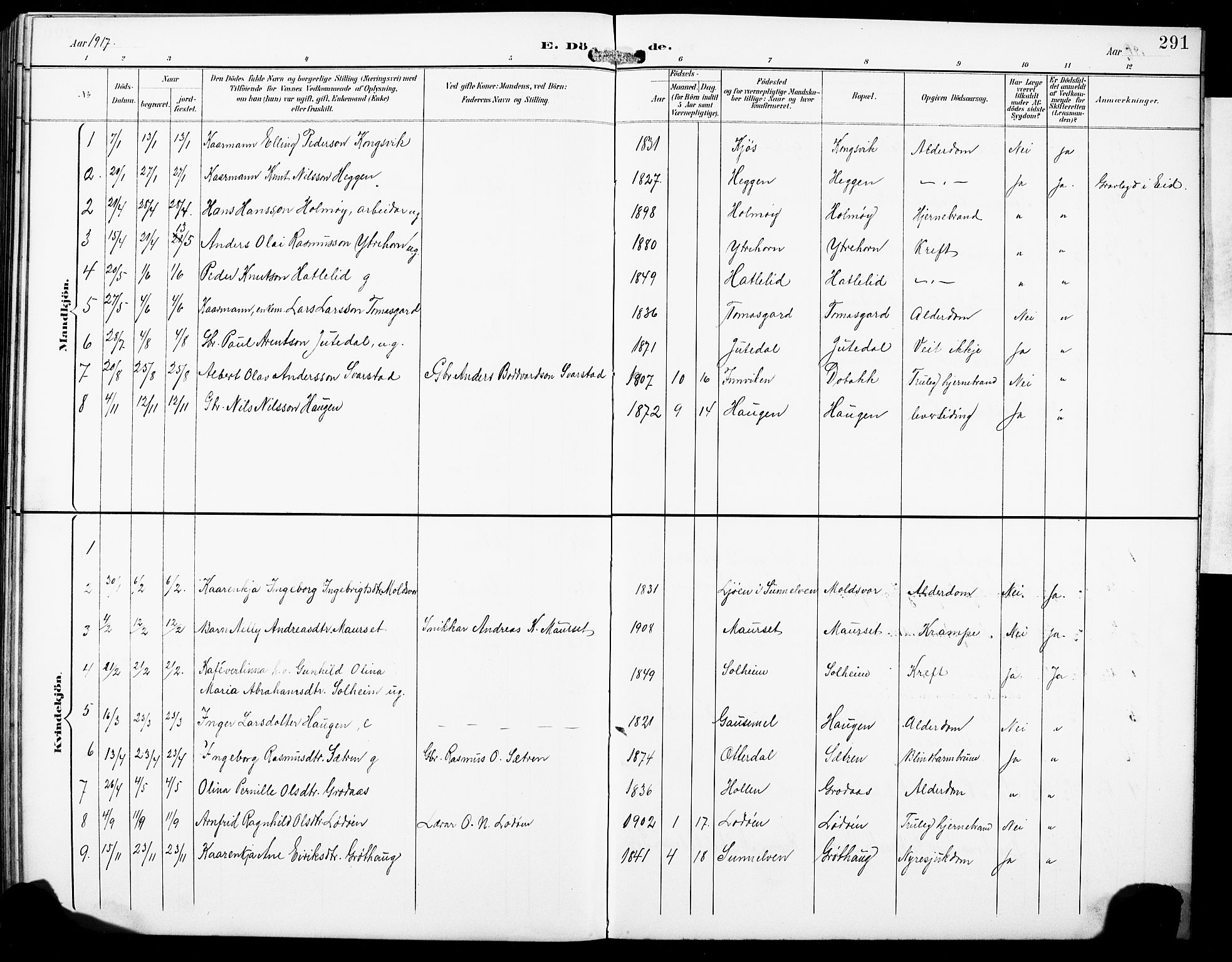 Hornindal sokneprestembete, AV/SAB-A-82401/H/Hab: Parish register (copy) no. A 2, 1894-1927, p. 291