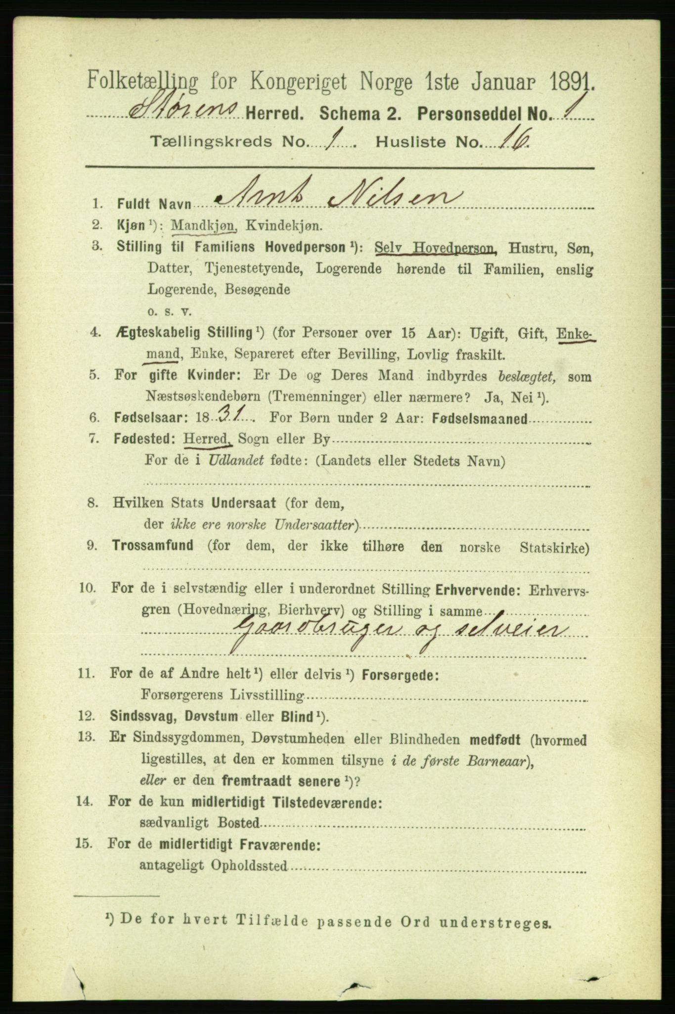 RA, 1891 census for 1648 Støren, 1891, p. 157