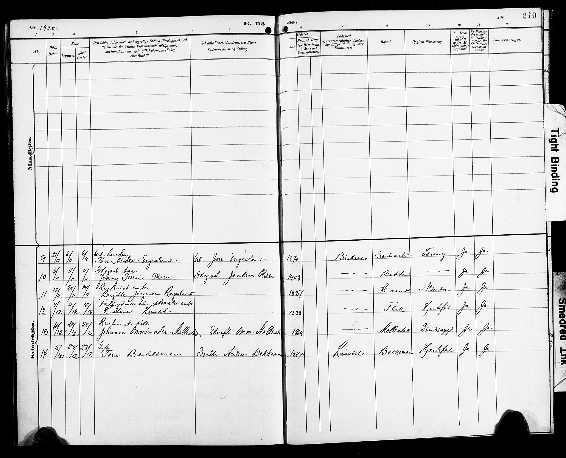 Birkenes sokneprestkontor, AV/SAK-1111-0004/F/Fb/L0004: Parish register (copy) no. B 4, 1893-1930, p. 270