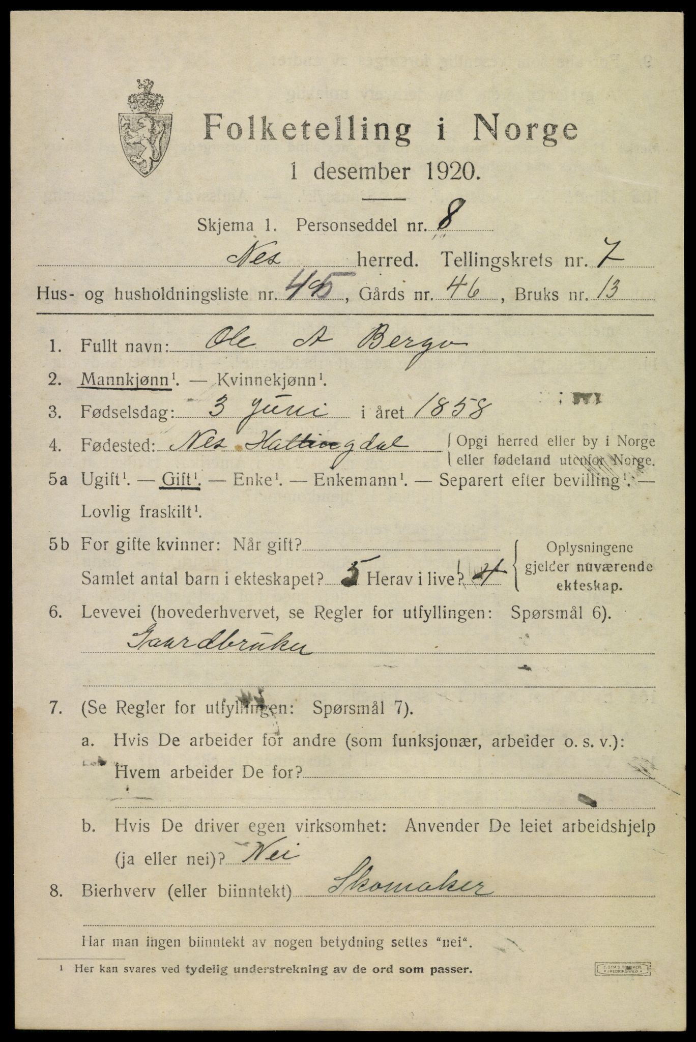 SAKO, 1920 census for Nes (Buskerud), 1920, p. 5006