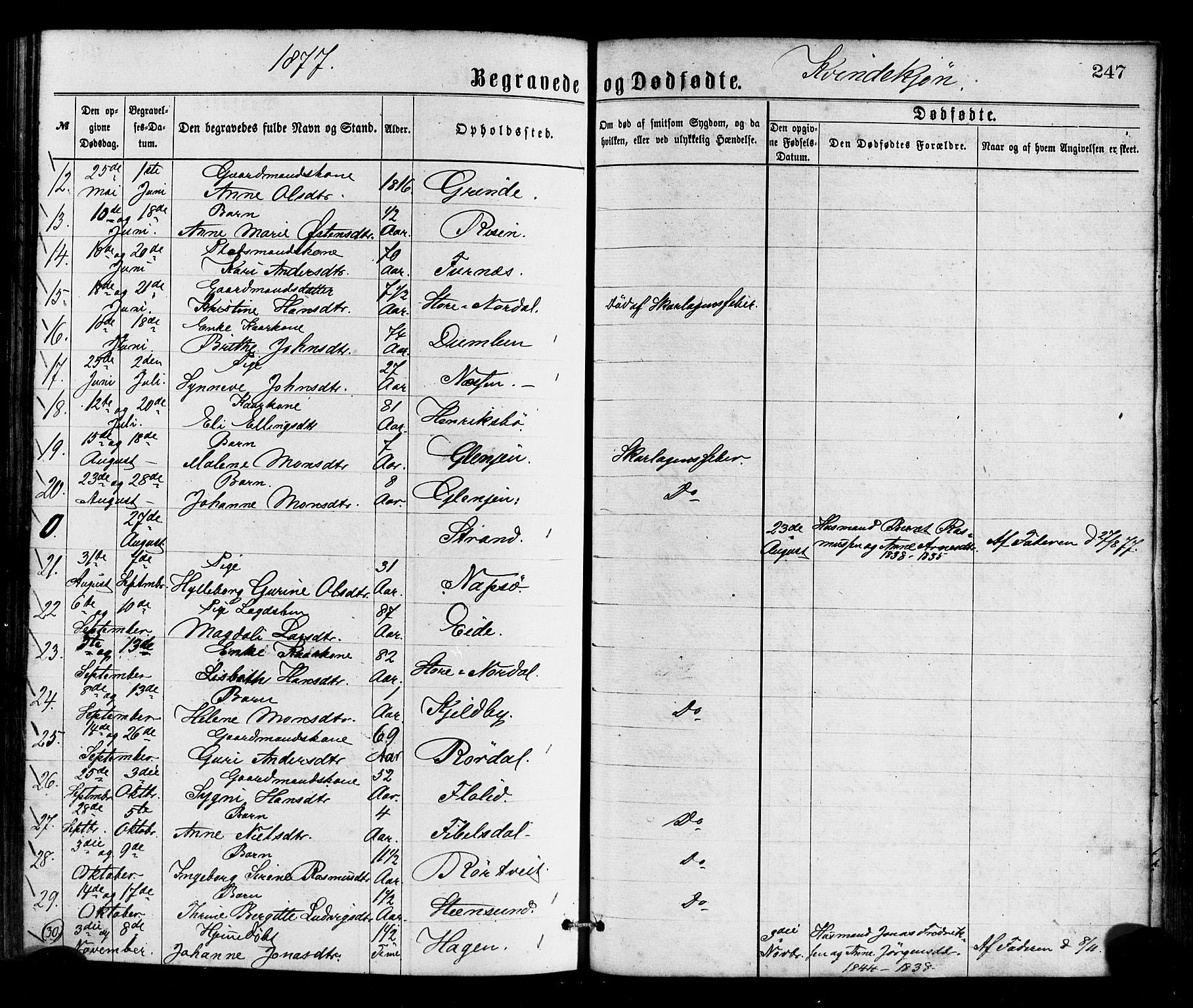Gulen sokneprestembete, AV/SAB-A-80201/H/Haa/Haaa/L0023: Parish register (official) no. A 23, 1870-1880, p. 247