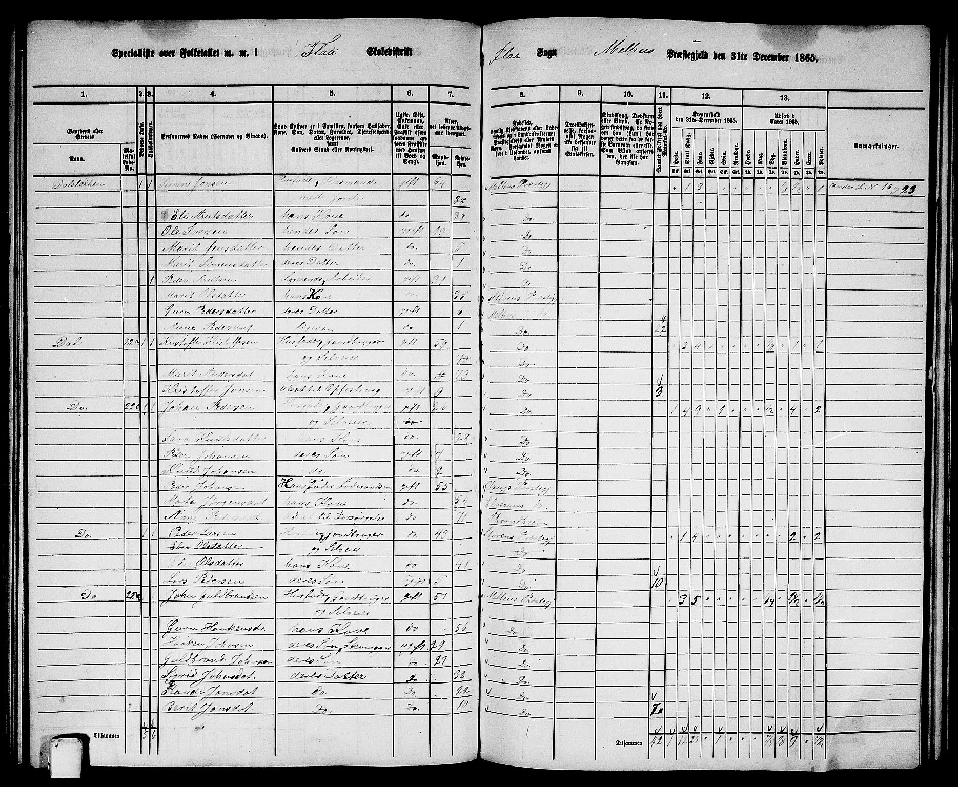 RA, 1865 census for Melhus, 1865, p. 141