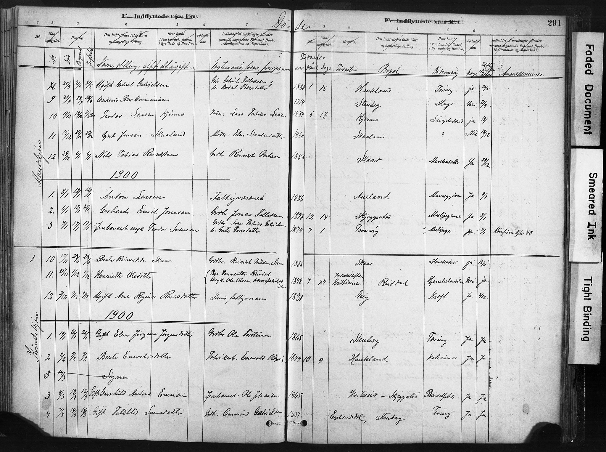 Lund sokneprestkontor, SAST/A-101809/S06/L0011: Parish register (official) no. A 10, 1877-1904, p. 291