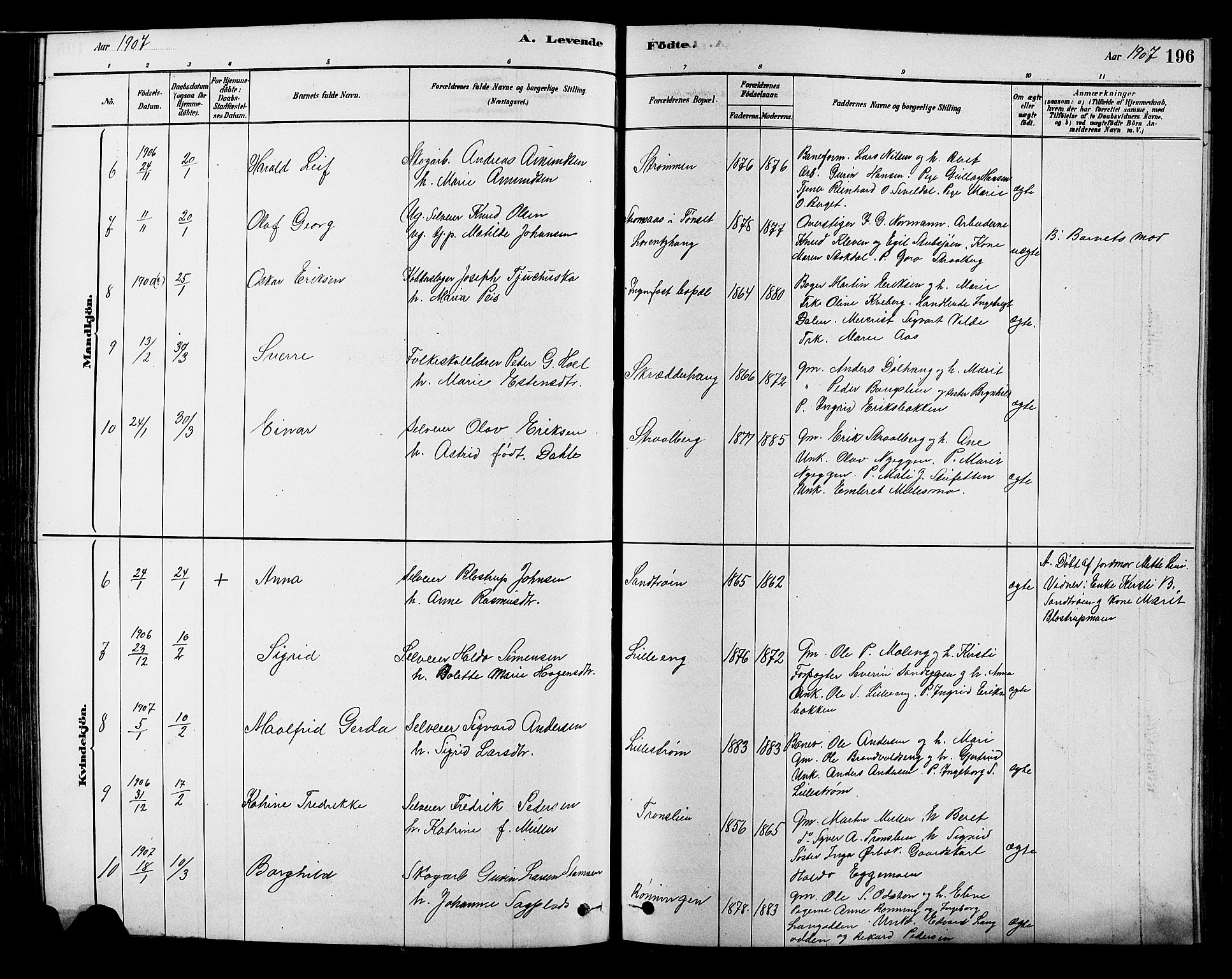 Alvdal prestekontor, SAH/PREST-060/H/Ha/Hab/L0003: Parish register (copy) no. 3, 1878-1907, p. 196