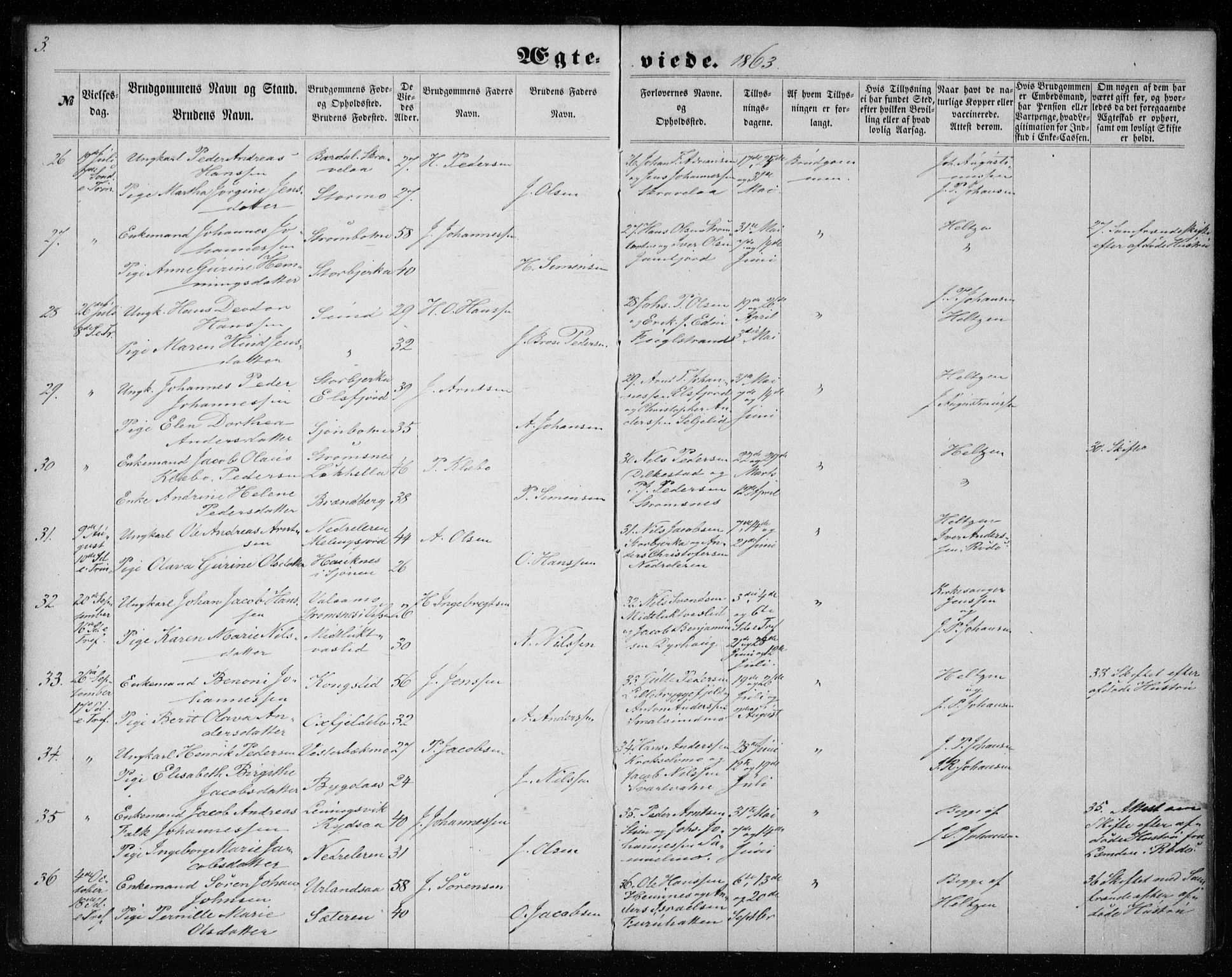 Ministerialprotokoller, klokkerbøker og fødselsregistre - Nordland, AV/SAT-A-1459/825/L0358: Parish register (official) no. 825A12, 1863-1878, p. 3