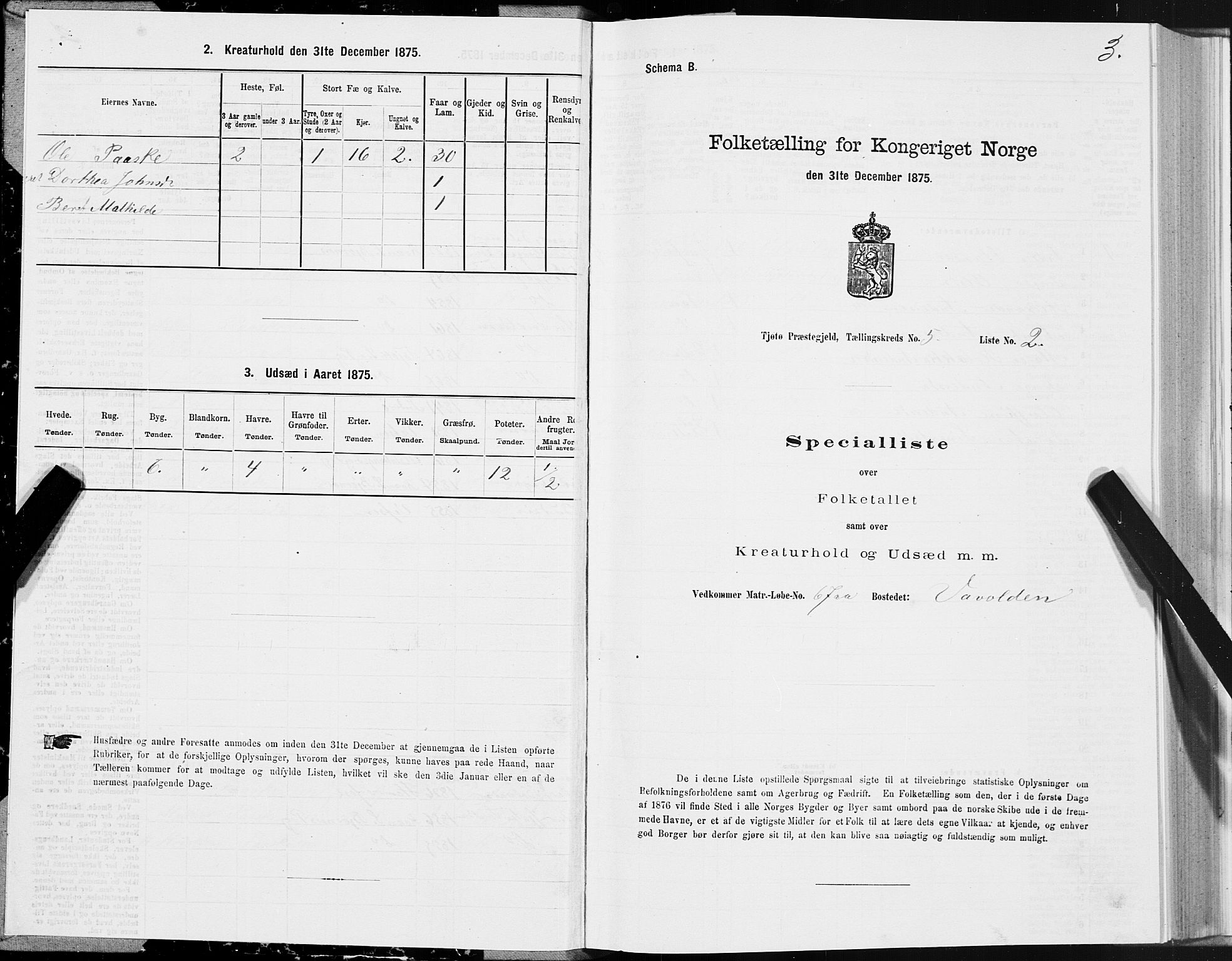 SAT, 1875 census for 1817P Tjøtta, 1875, p. 3003