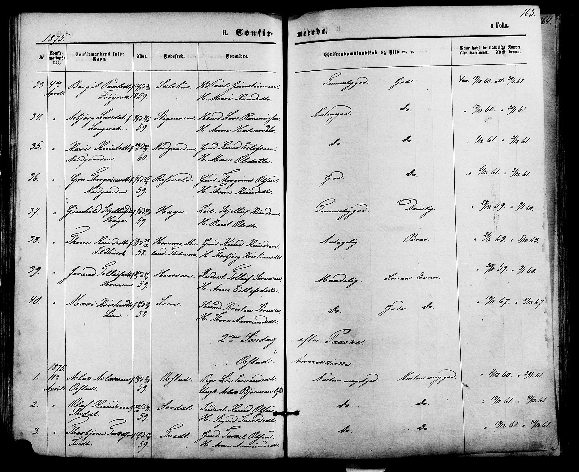 Bygland sokneprestkontor, AV/SAK-1111-0006/F/Fa/Fab/L0006: Parish register (official) no. A 6, 1873-1884, p. 163