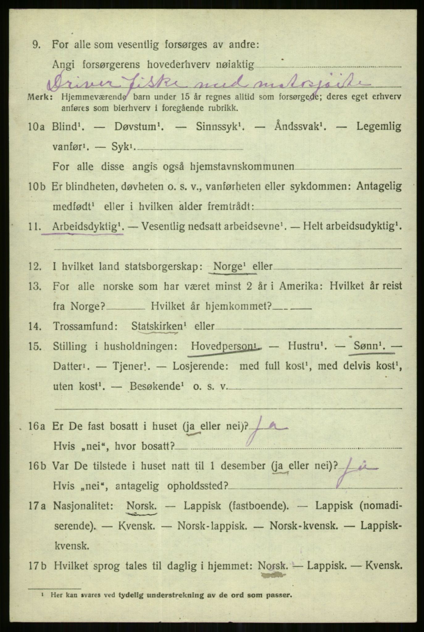 SATØ, 1920 census for Karlsøy, 1920, p. 3997