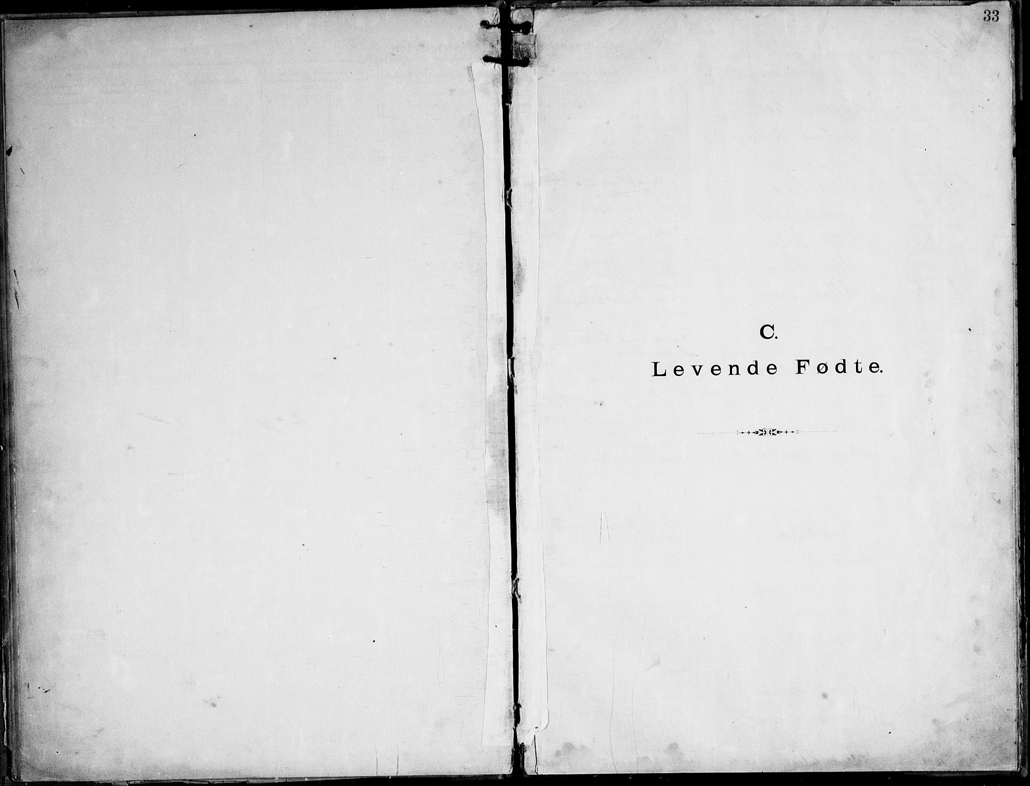 Ministerialprotokoller, klokkerbøker og fødselsregistre - Nordland, SAT/A-1459/888/L1276: Dissenter register no. 888D03, 1893-1944, p. 33