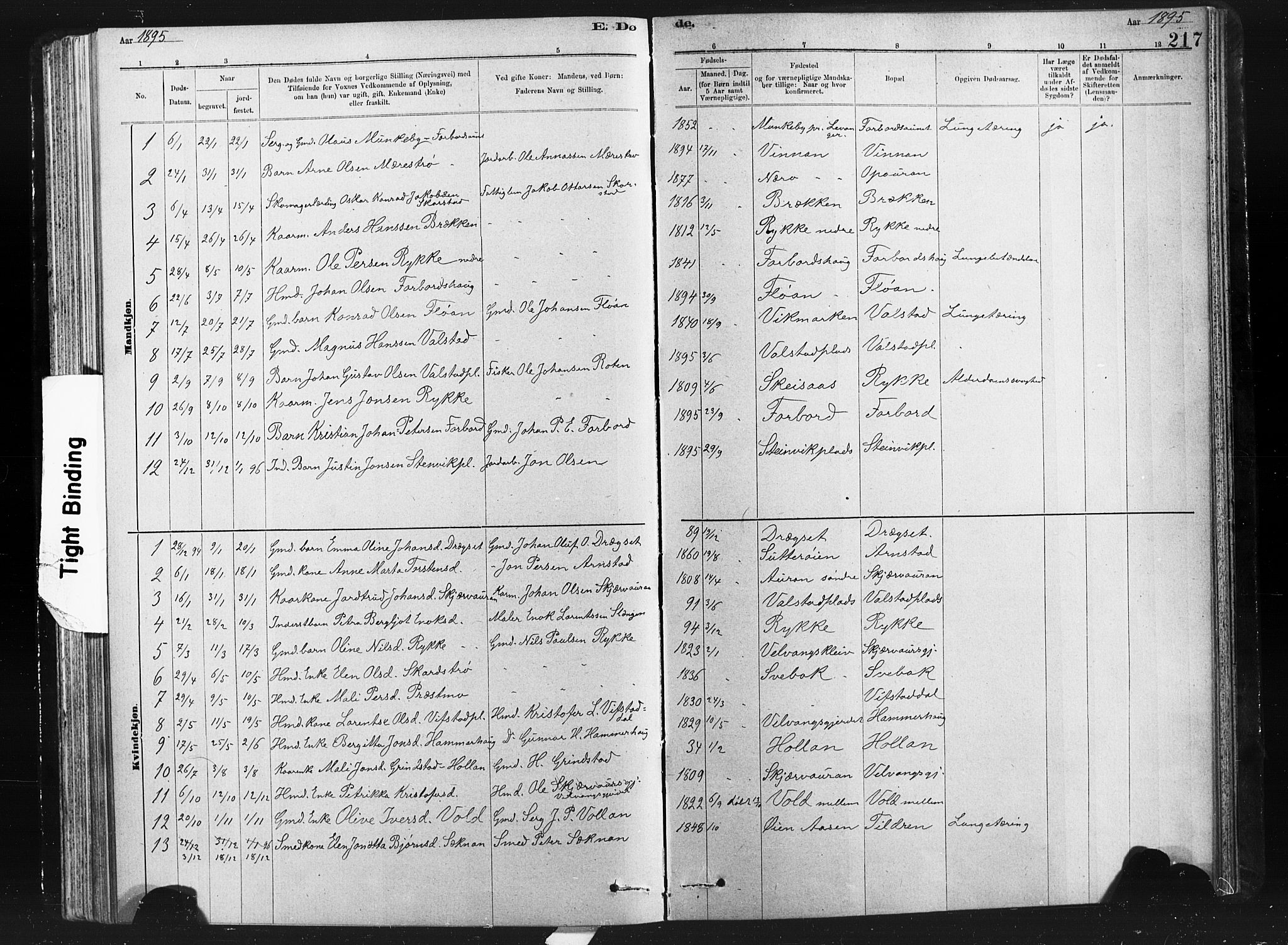 Ministerialprotokoller, klokkerbøker og fødselsregistre - Nord-Trøndelag, AV/SAT-A-1458/712/L0103: Parish register (copy) no. 712C01, 1878-1917, p. 217