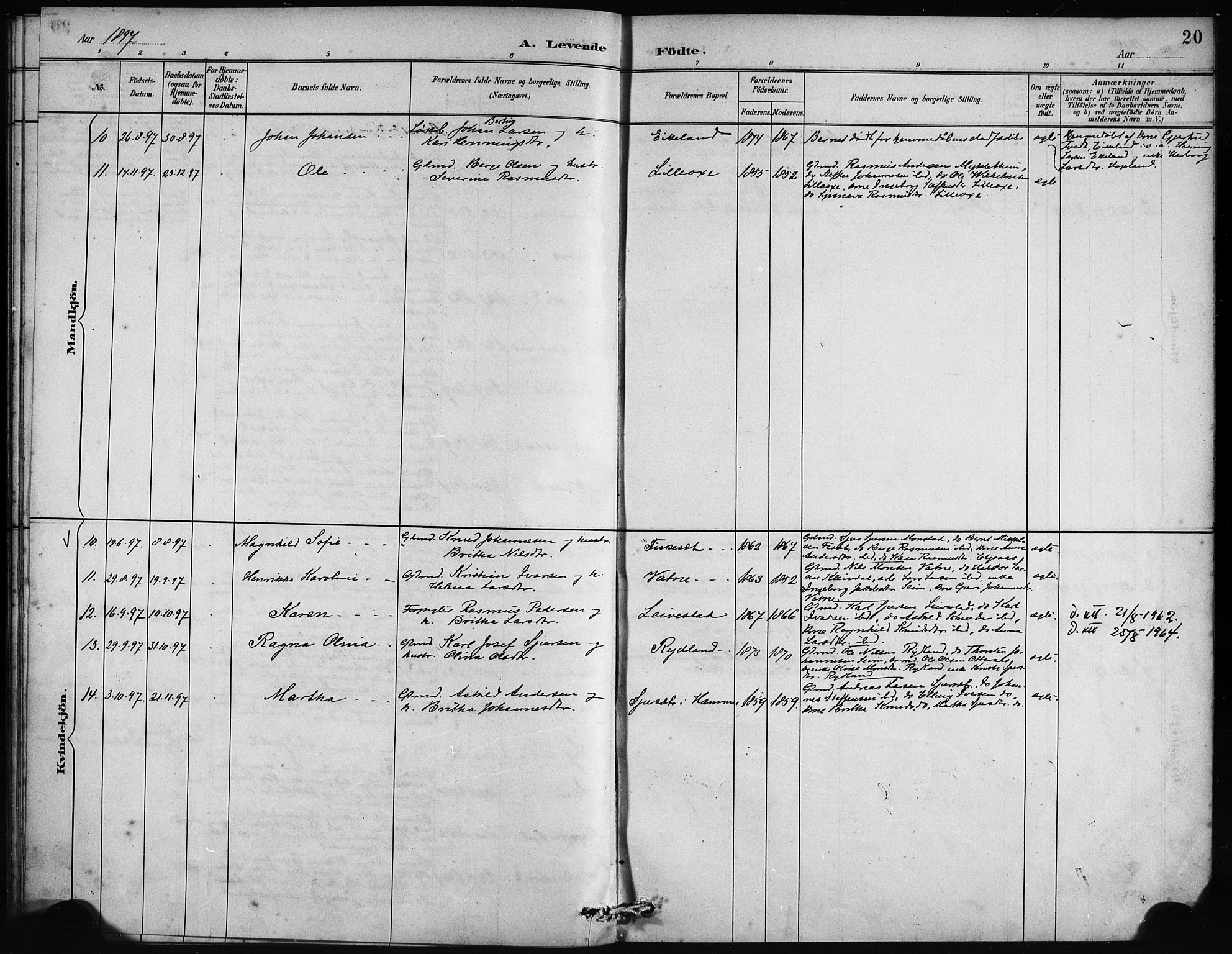 Alversund Sokneprestembete, AV/SAB-A-73901/H/Ha/Haa/Haad/L0002: Parish register (official) no. D 2, 1890-1897, p. 20