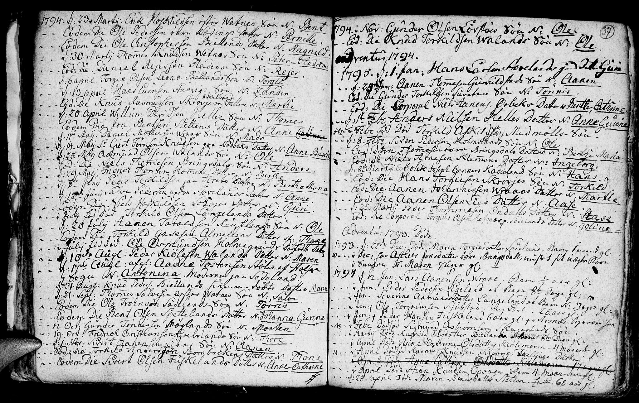 Holum sokneprestkontor, AV/SAK-1111-0022/F/Fb/Fba/L0001: Parish register (copy) no. B 1 /1, 1770-1820, p. 37