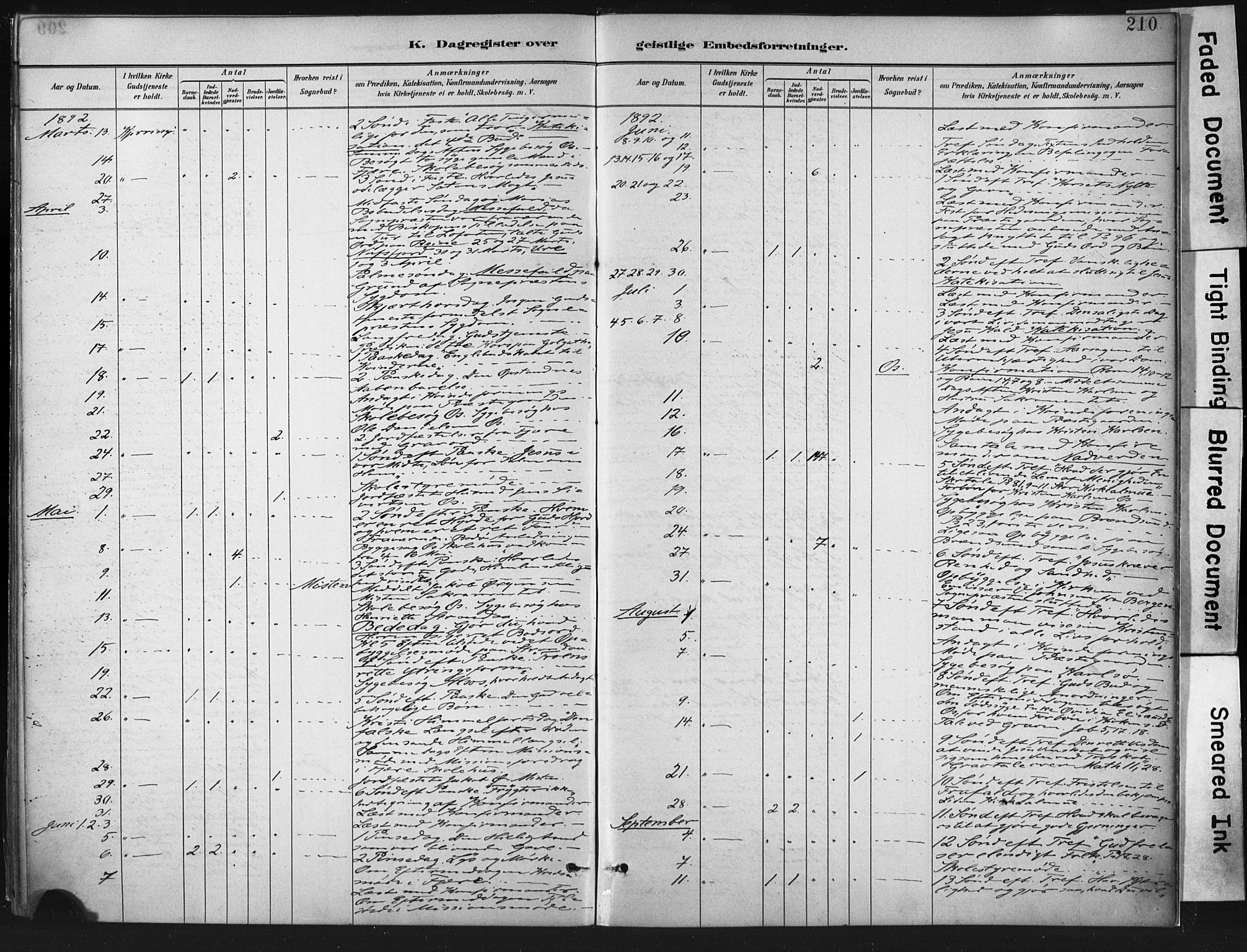 Ministerialprotokoller, klokkerbøker og fødselsregistre - Nordland, AV/SAT-A-1459/803/L0071: Parish register (official) no. 803A01, 1881-1897, p. 210