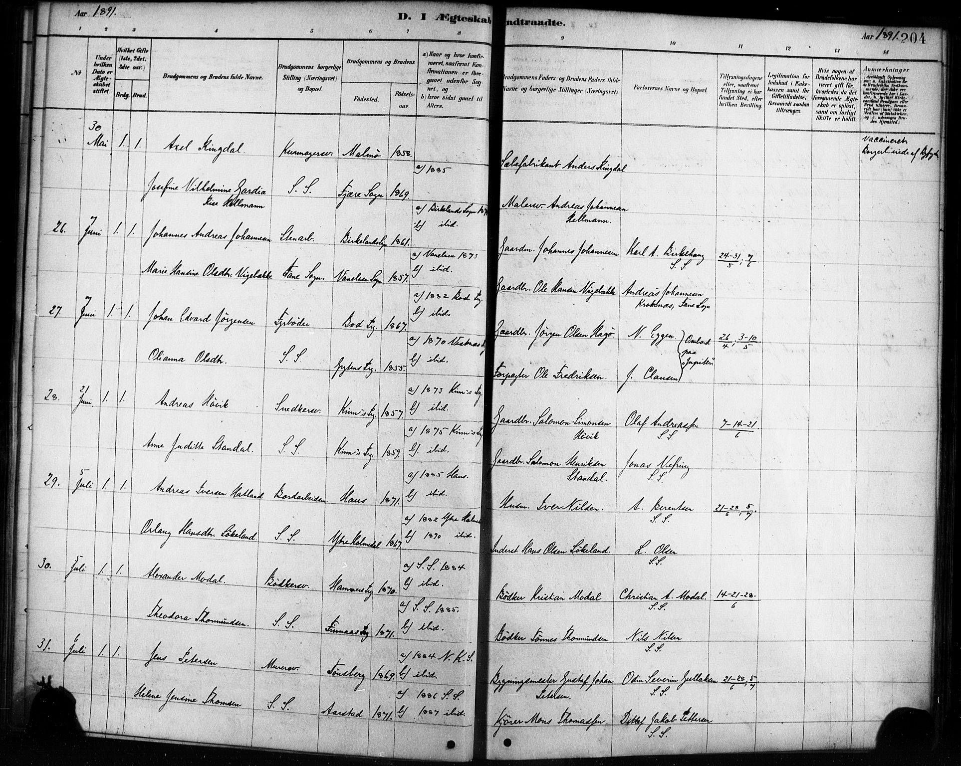 Sandviken Sokneprestembete, AV/SAB-A-77601/H/Ha/L0002: Parish register (official) no. A 2, 1878-1896, p. 204