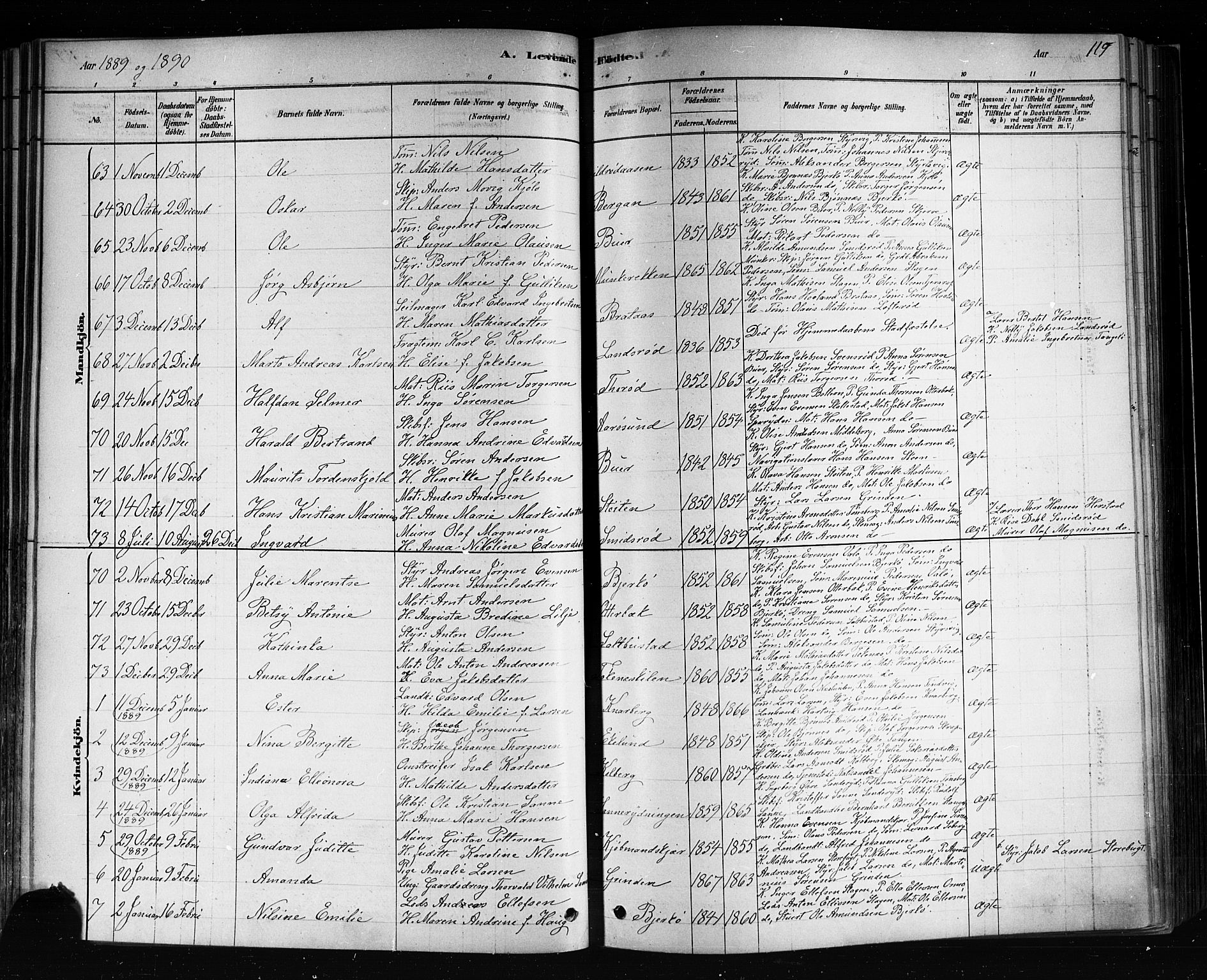 Nøtterøy kirkebøker, SAKO/A-354/F/Fa/L0008: Parish register (official) no. I 8, 1878-1893, p. 119