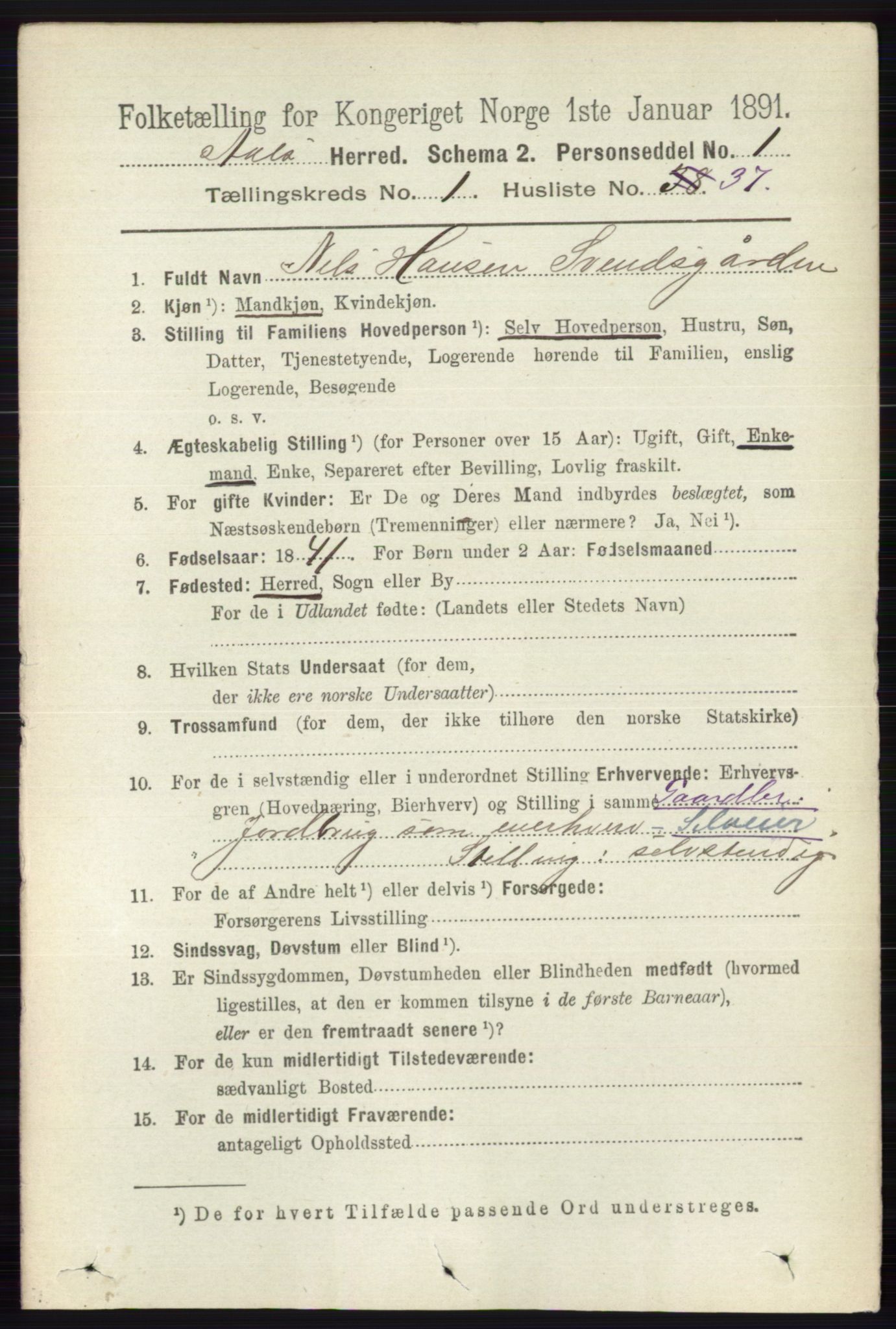 RA, 1891 census for 0619 Ål, 1891, p. 254