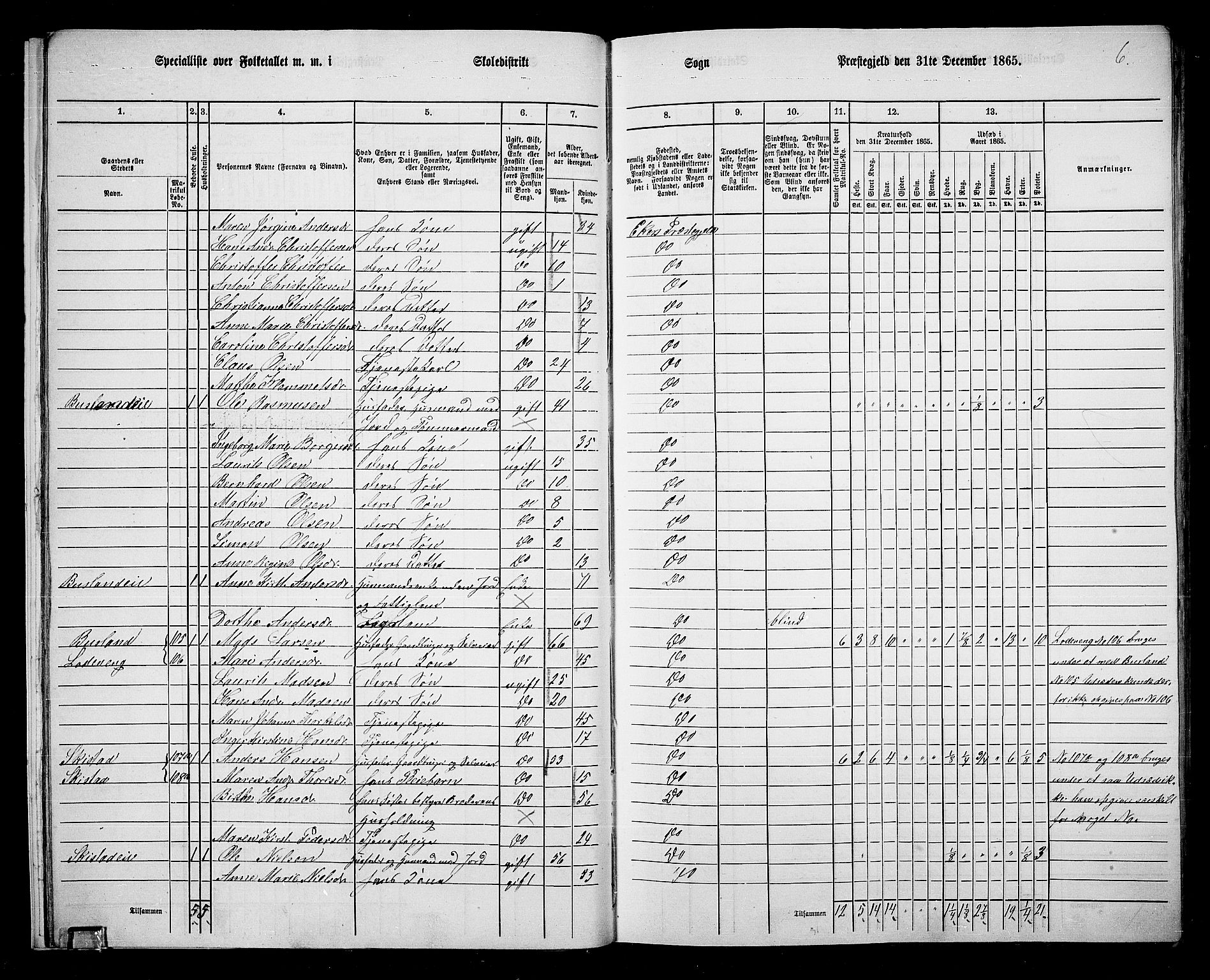 RA, 1865 census for Eiker, 1865, p. 19