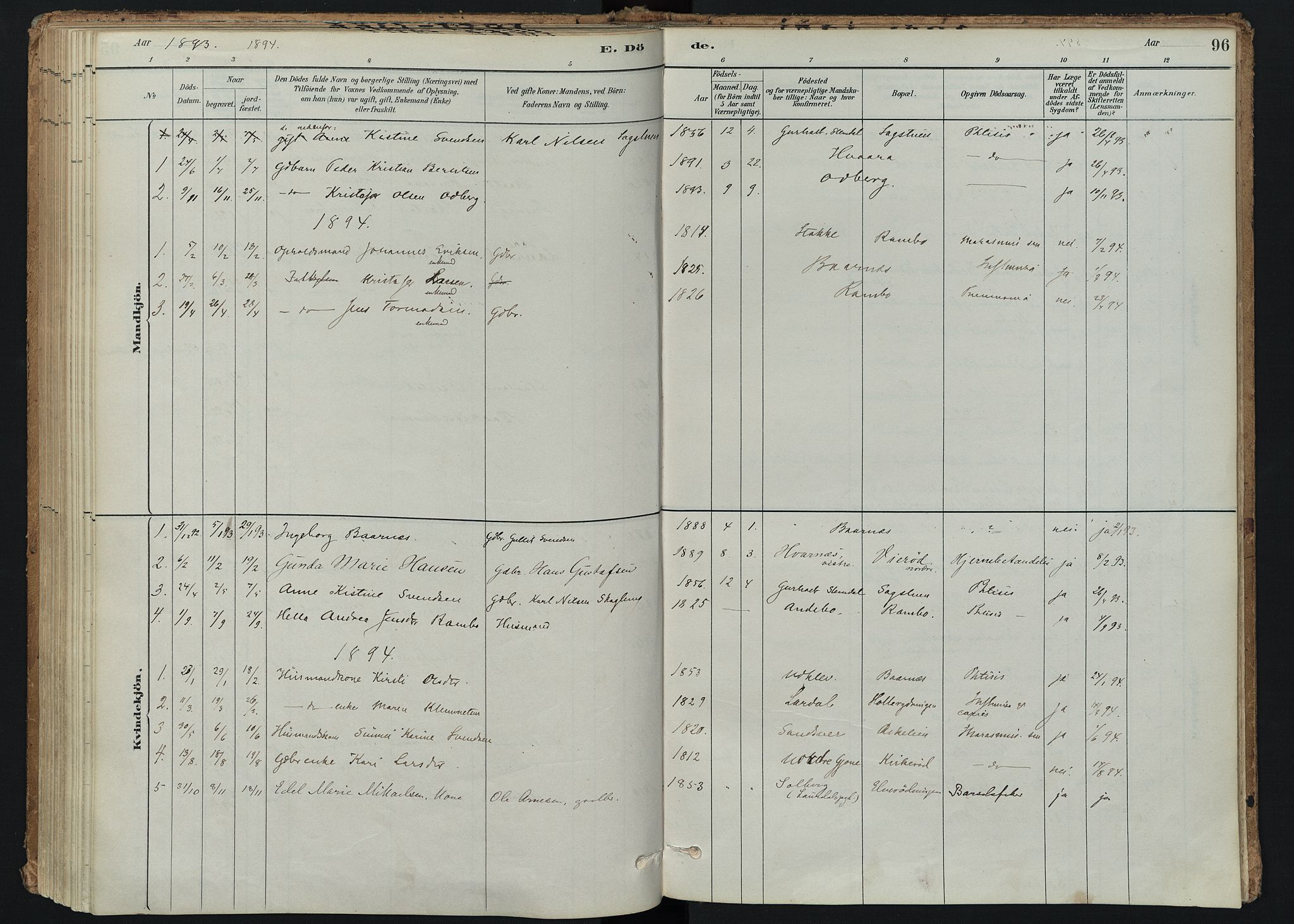 Hedrum kirkebøker, SAKO/A-344/F/Fc/L0001: Parish register (official) no. III 1, 1881-1906, p. 96