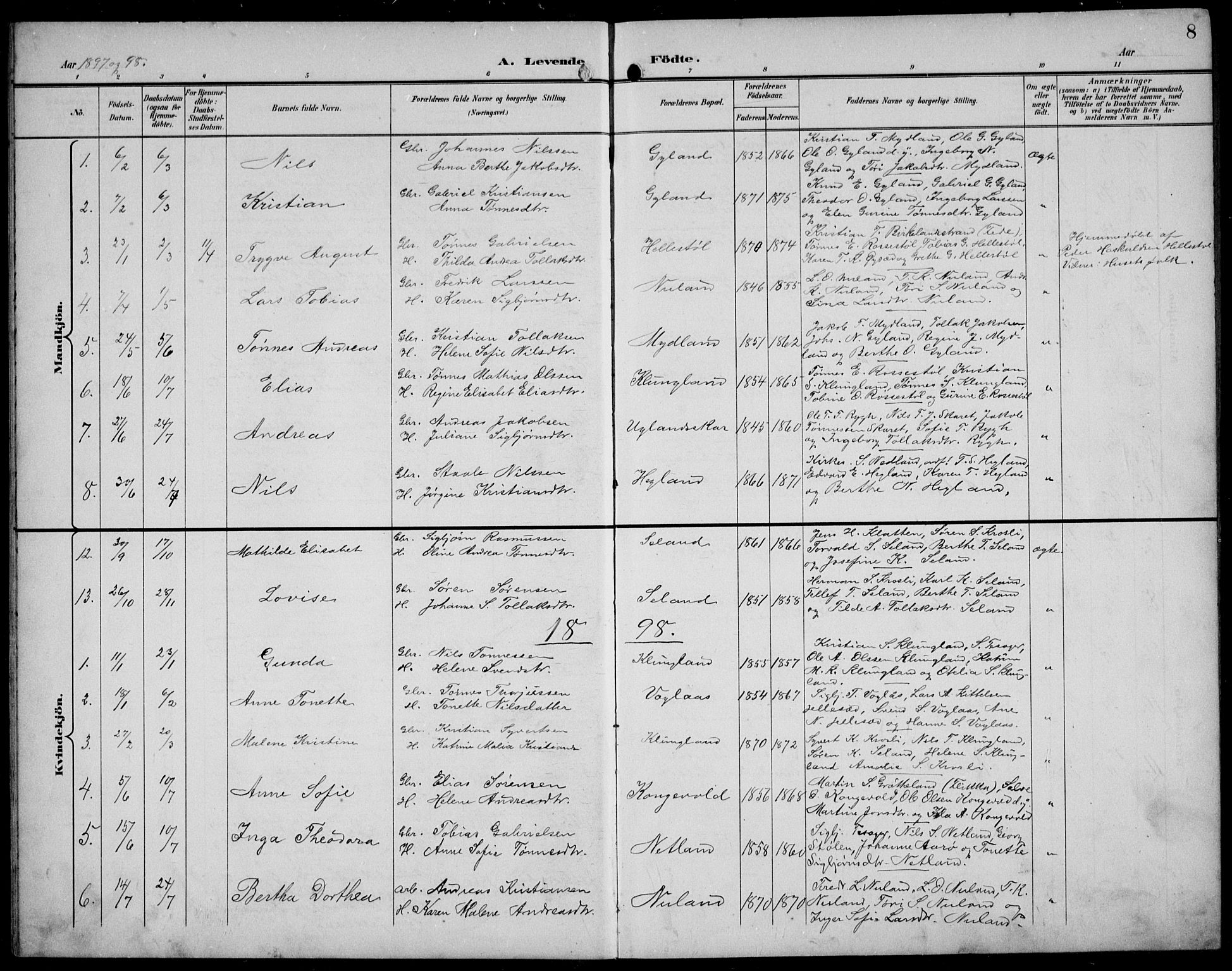 Bakke sokneprestkontor, SAK/1111-0002/F/Fb/Fbb/L0004: Parish register (copy) no. B 4, 1896-1927, p. 8