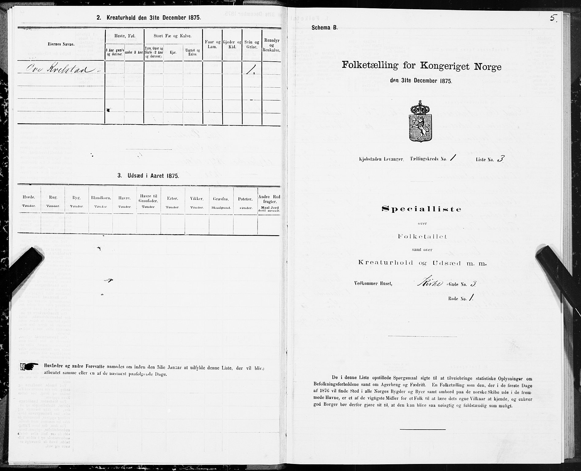 SAT, 1875 census for 1701B Levanger/Levanger, 1875, p. 5