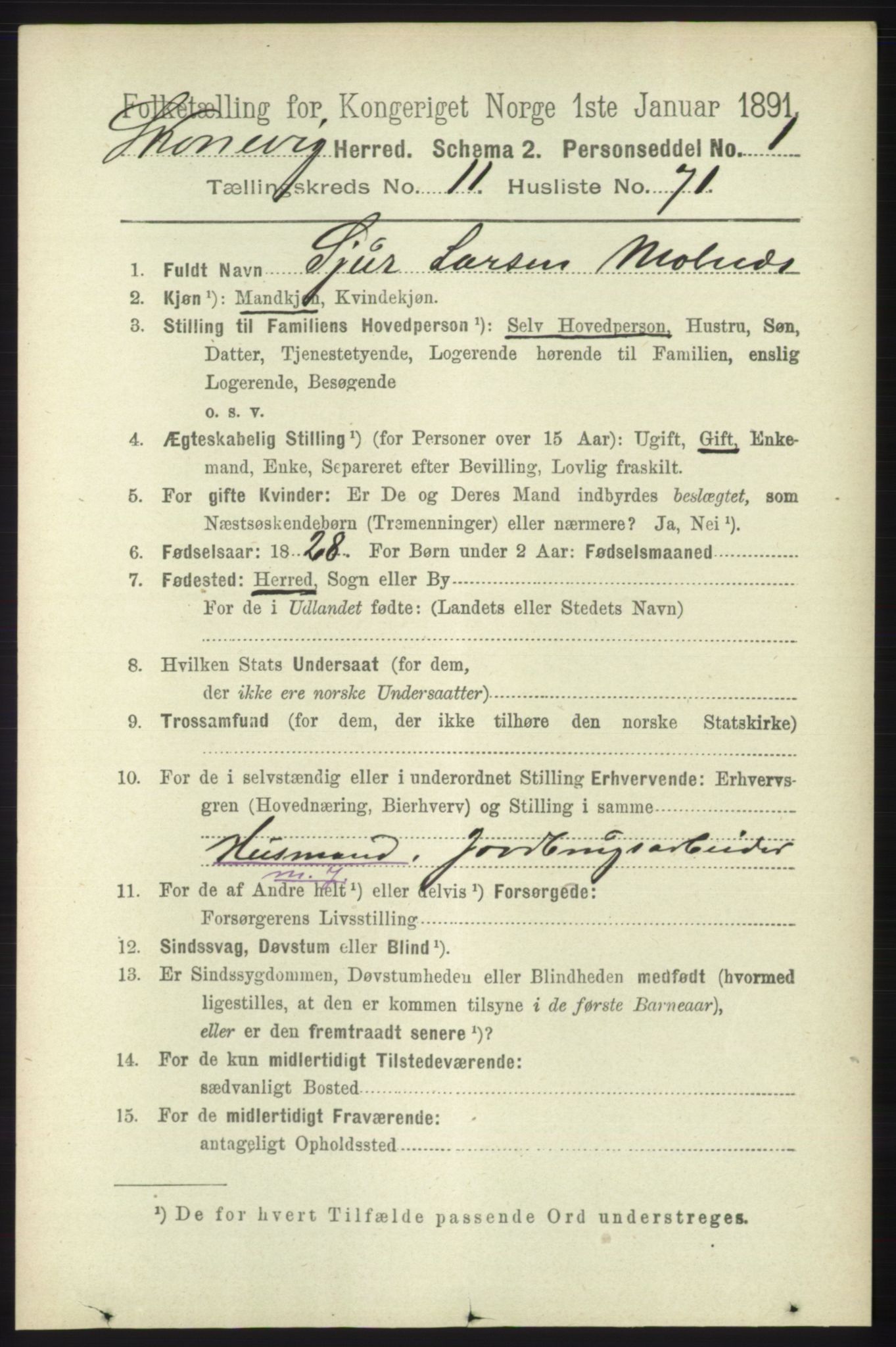 RA, 1891 census for 1212 Skånevik, 1891, p. 3699