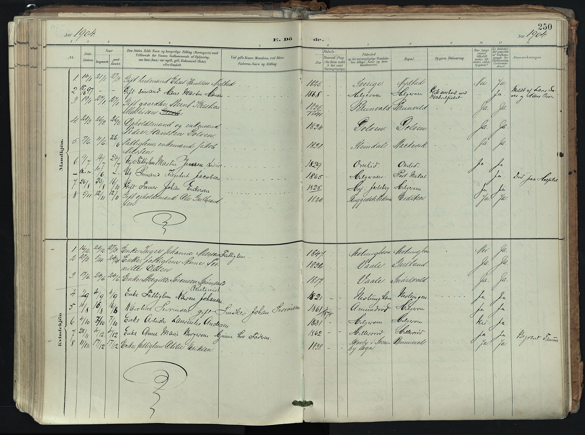 Brunlanes kirkebøker, SAKO/A-342/F/Fb/L0003: Parish register (official) no. II 3, 1900-1922, p. 250