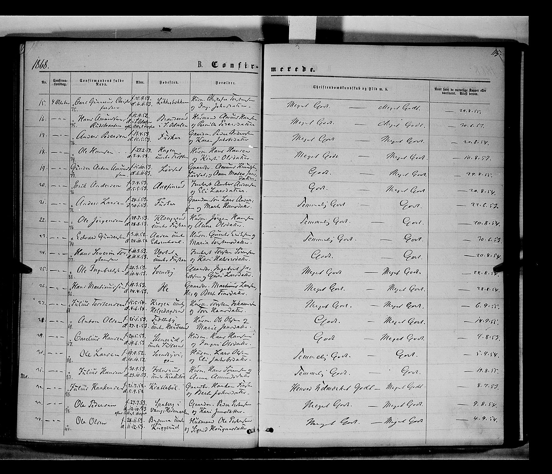 Nord-Odal prestekontor, AV/SAH-PREST-032/H/Ha/Haa/L0004: Parish register (official) no. 4, 1866-1873, p. 115