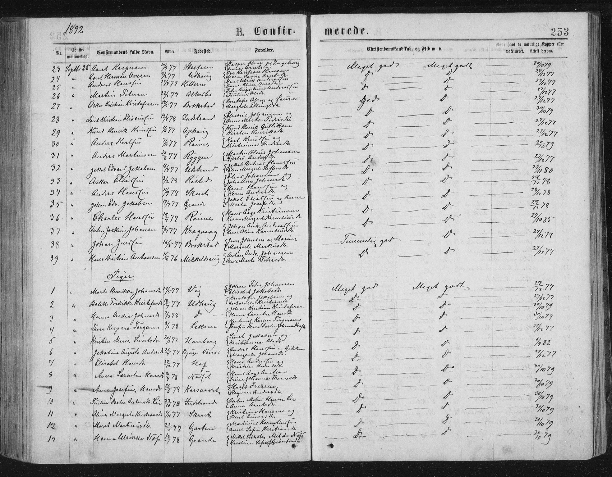 Ministerialprotokoller, klokkerbøker og fødselsregistre - Sør-Trøndelag, AV/SAT-A-1456/659/L0745: Parish register (copy) no. 659C02, 1869-1892, p. 253