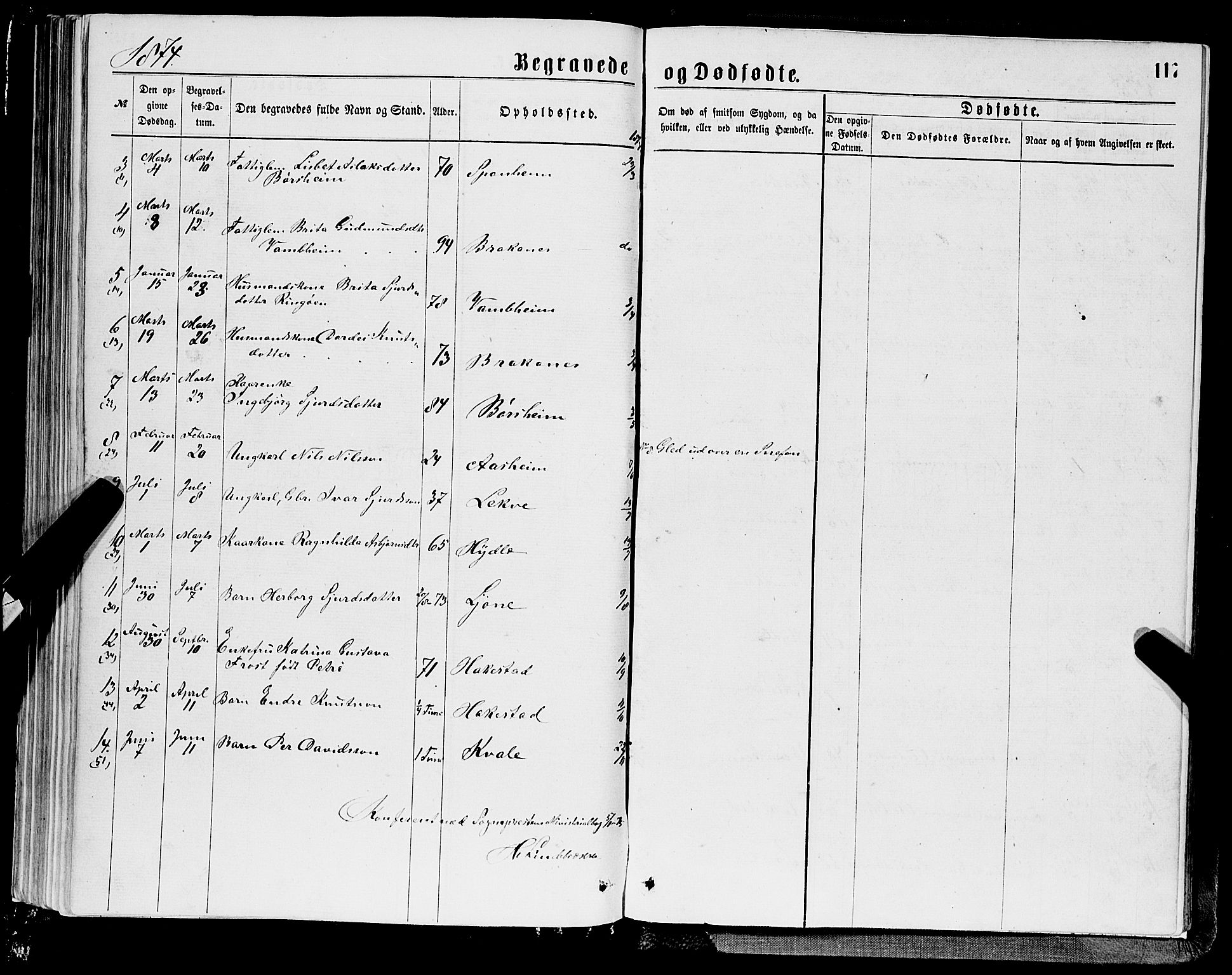 Ulvik sokneprestembete, SAB/A-78801/H/Hab: Parish register (copy) no. A 2, 1869-1882, p. 117