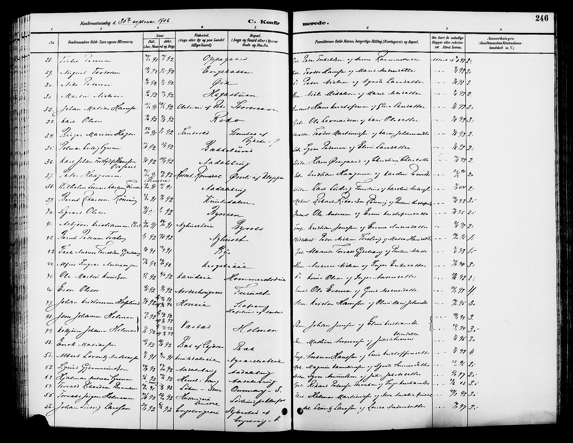 Løten prestekontor, AV/SAH-PREST-022/L/La/L0006: Parish register (copy) no. 6, 1892-1909, p. 246