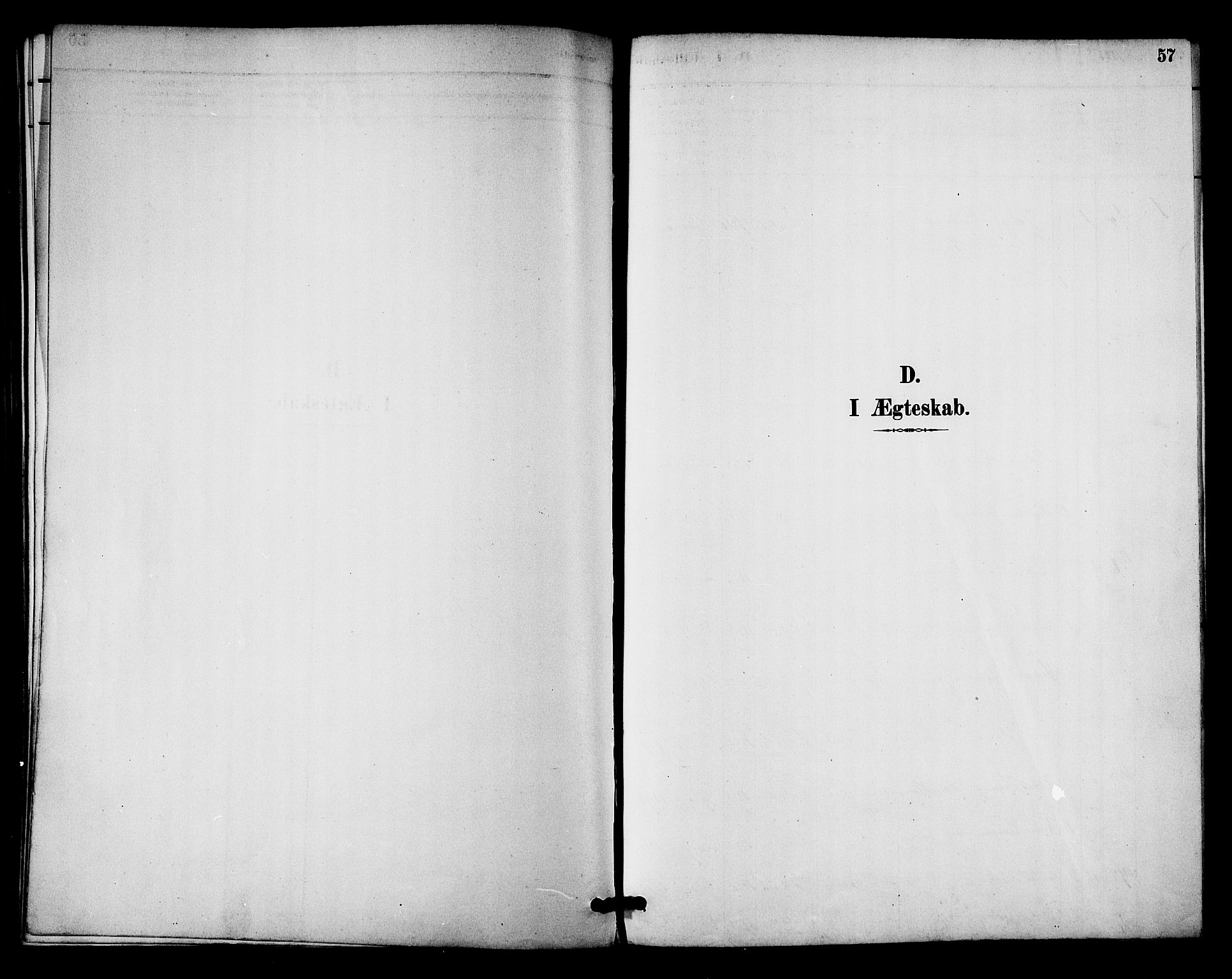 Ministerialprotokoller, klokkerbøker og fødselsregistre - Nordland, AV/SAT-A-1459/894/L1355: Parish register (official) no. 894A01, 1885-1896, p. 57