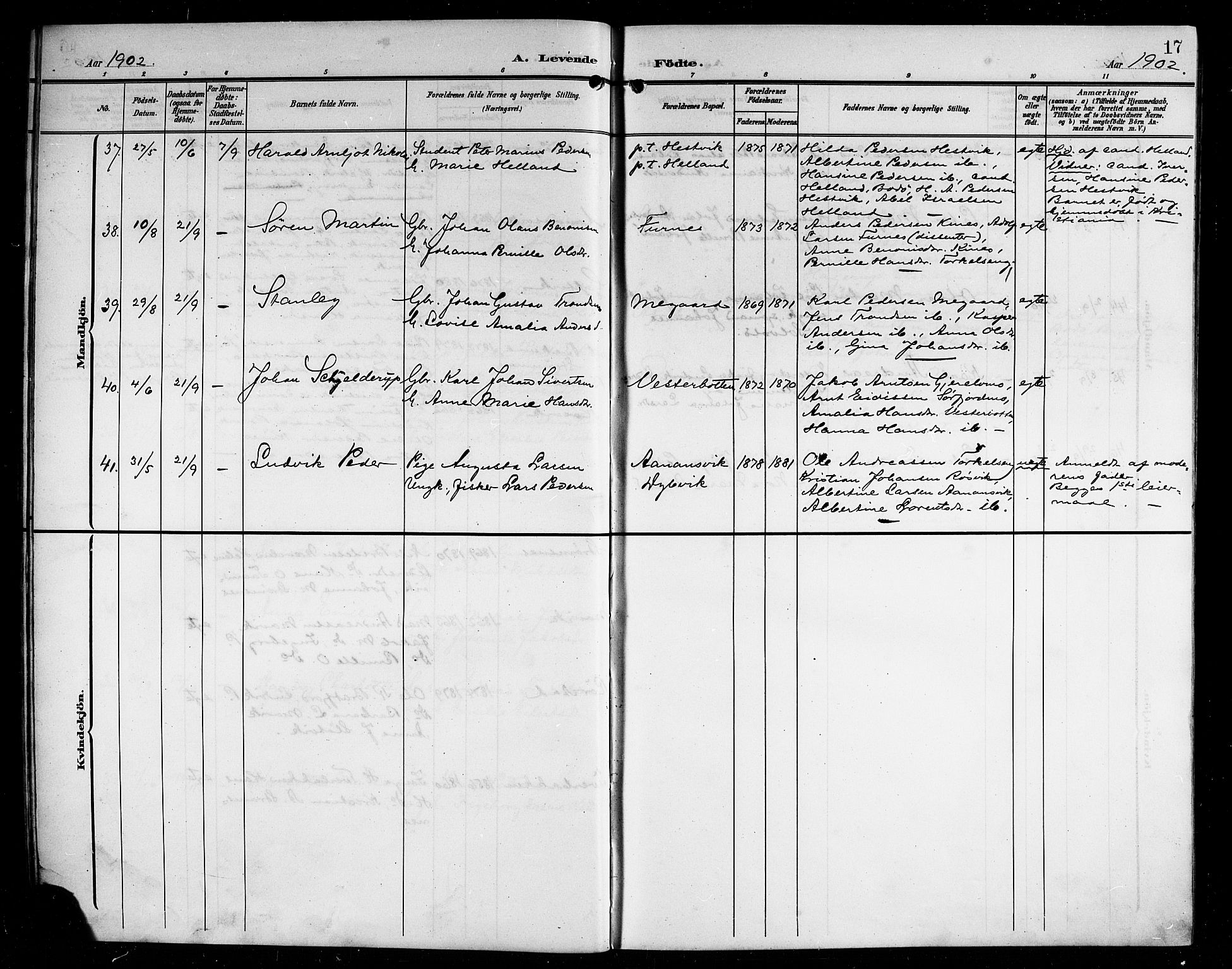 Ministerialprotokoller, klokkerbøker og fødselsregistre - Nordland, AV/SAT-A-1459/854/L0786: Parish register (copy) no. 854C02, 1901-1912, p. 17